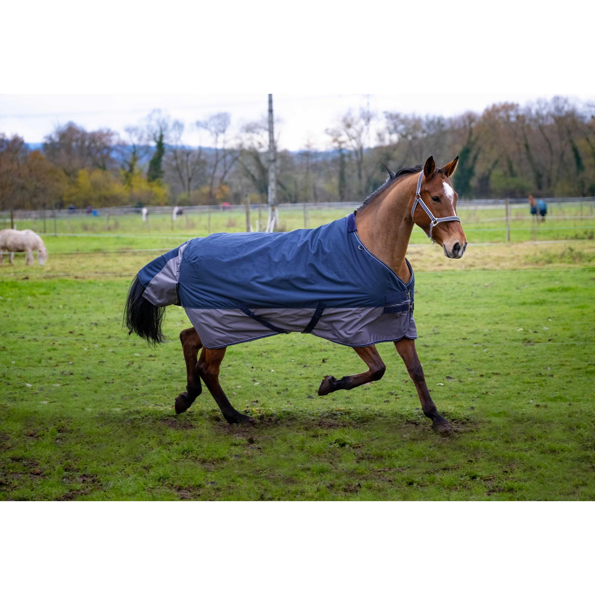 EQUITHÈME Tyrex New 600D Rug - Standard Navy blue/grey 400917763