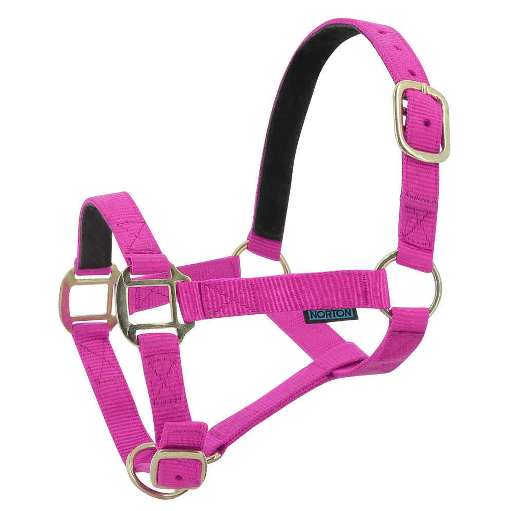 Norton Leather lined nylon headcollar Fuchsia 510175032