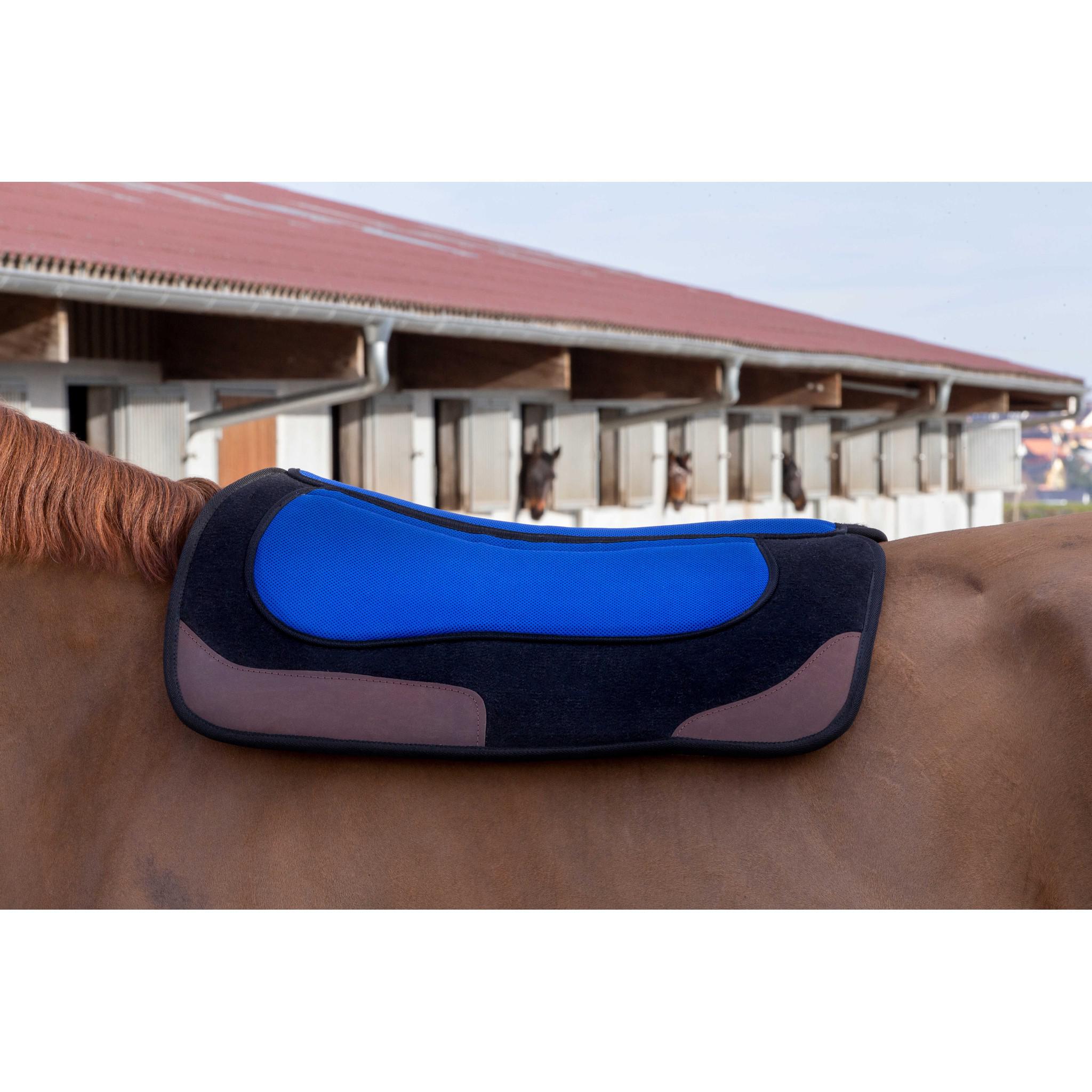Westride Pro Felt and Foam Western saddle pad Black/blue 801108002