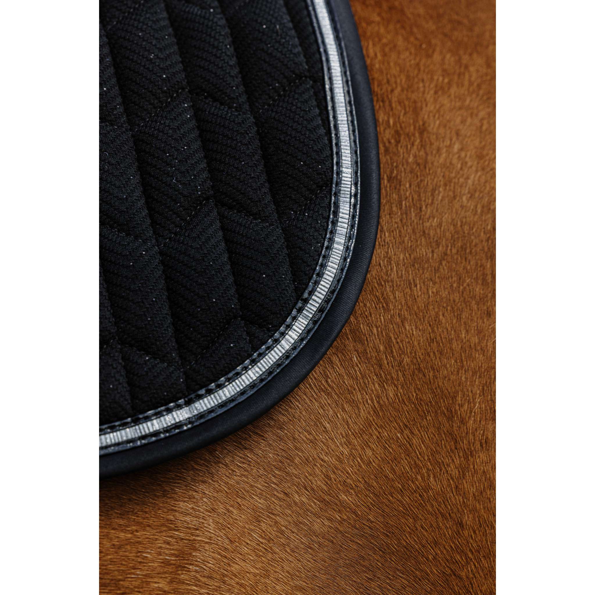 EQUITHÈME Éclat Saddle Pad - All purpose Black 204008002