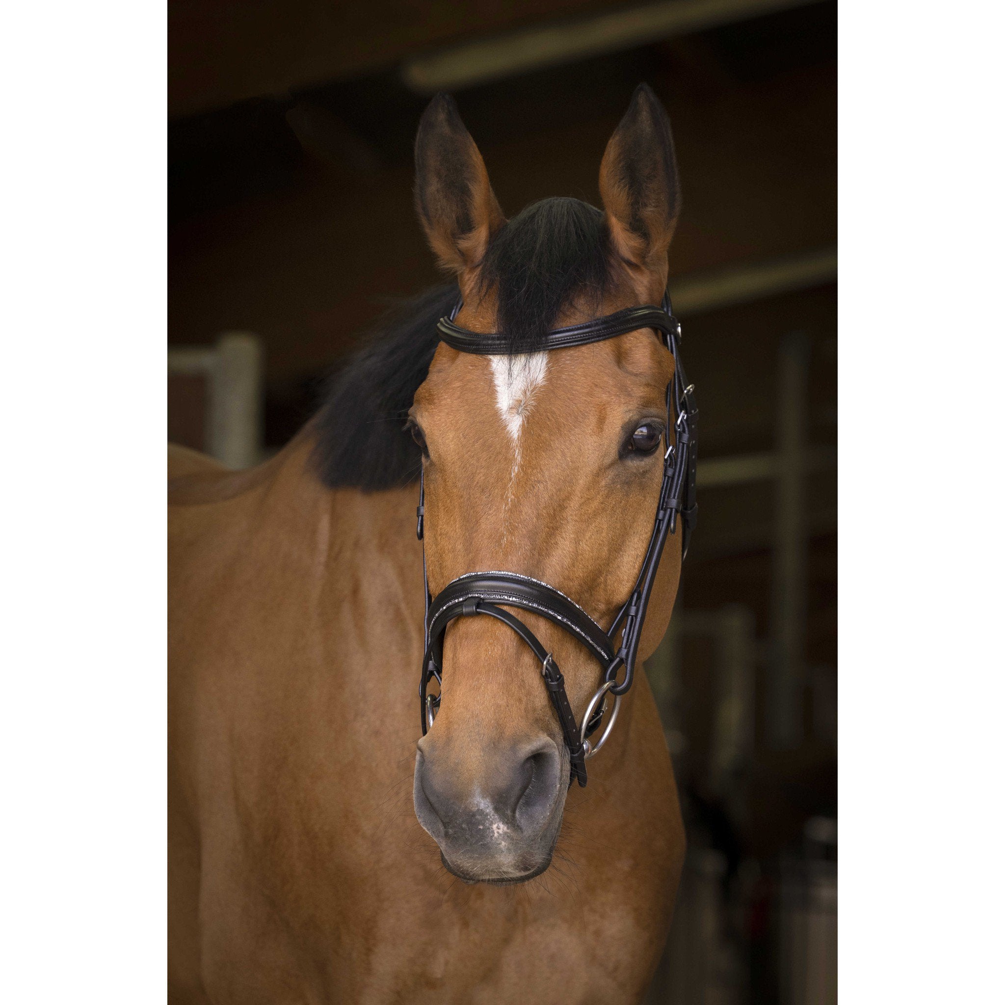 Norton Pro Rock Bridle Black 301892202