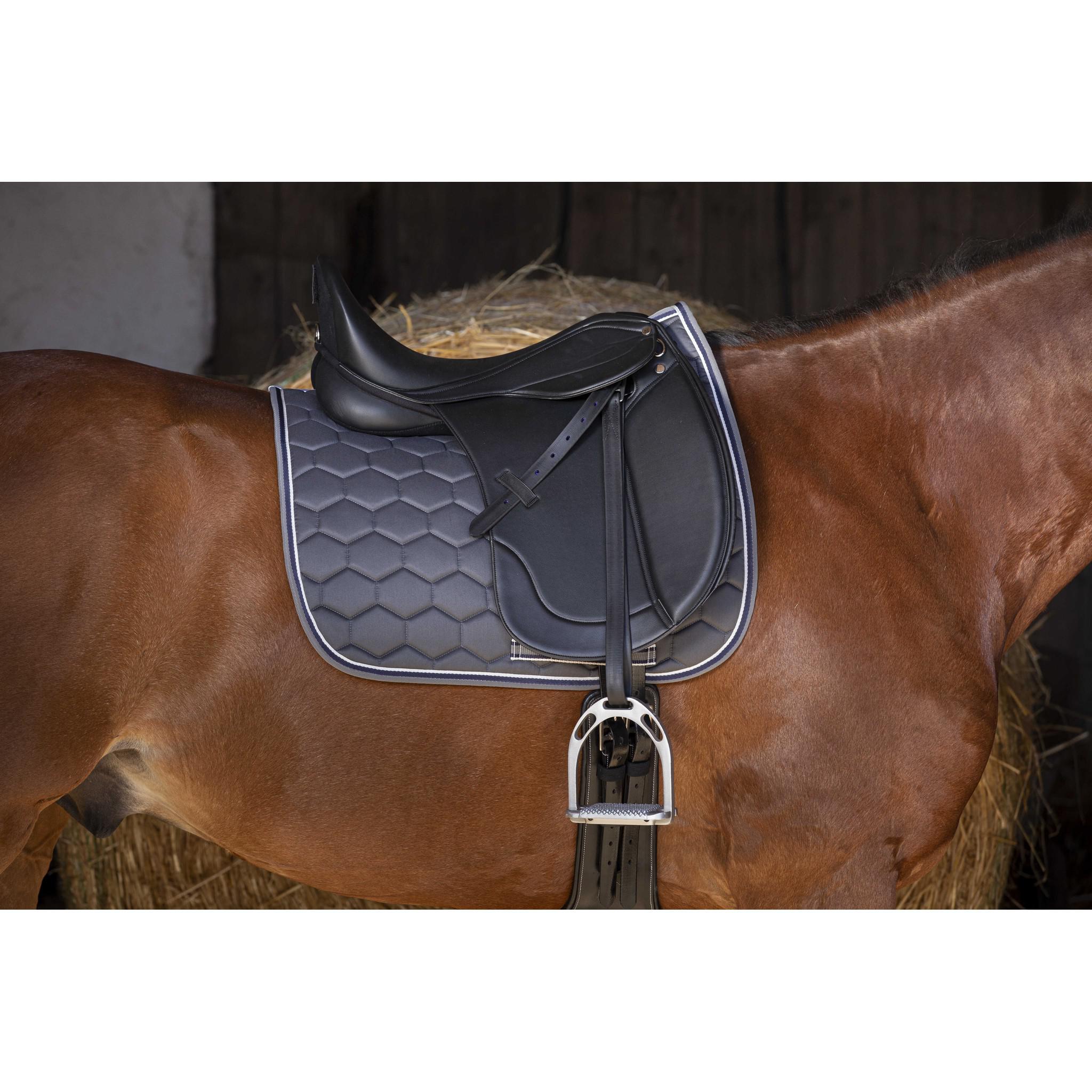 Norton Club Rexine Evol Dressage Saddle Black 117117170