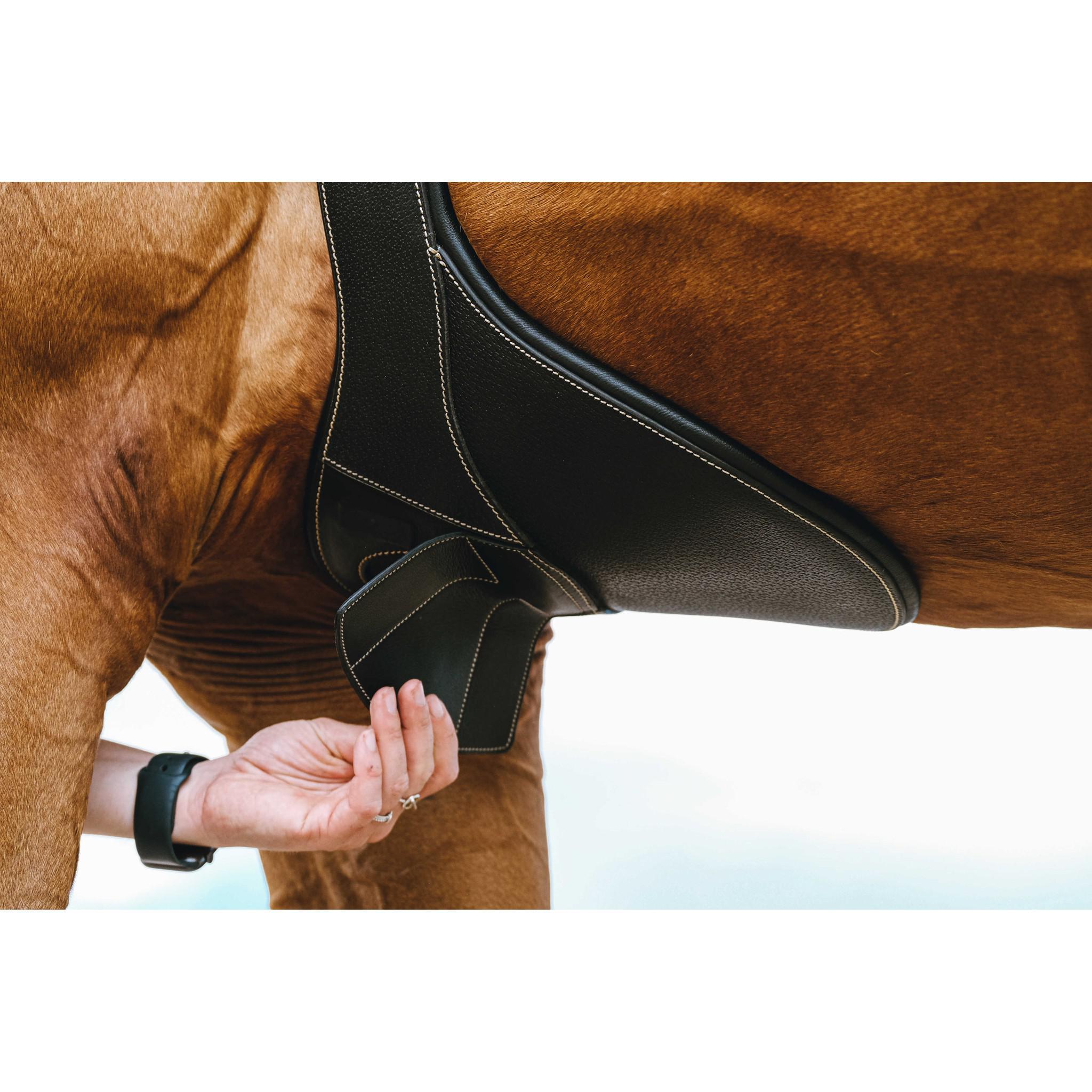 Norton Magnet Belly protector girth Black 203146215