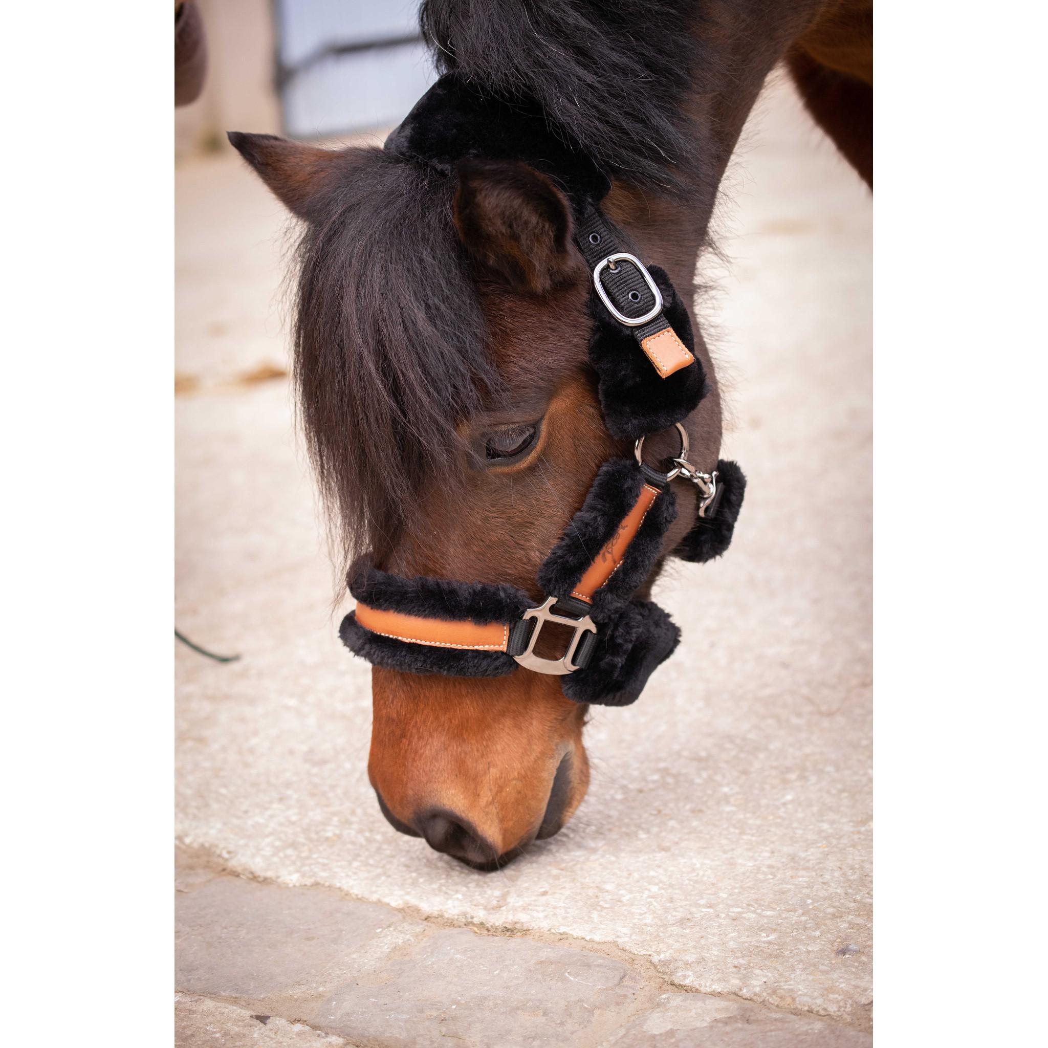 Pénélope Soft halter Black/ecru 510902025