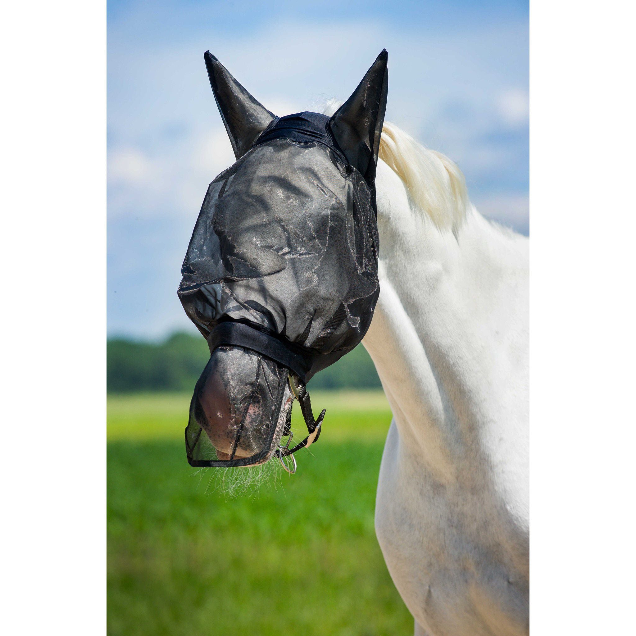 Norton Fly muzzle Black 306960003