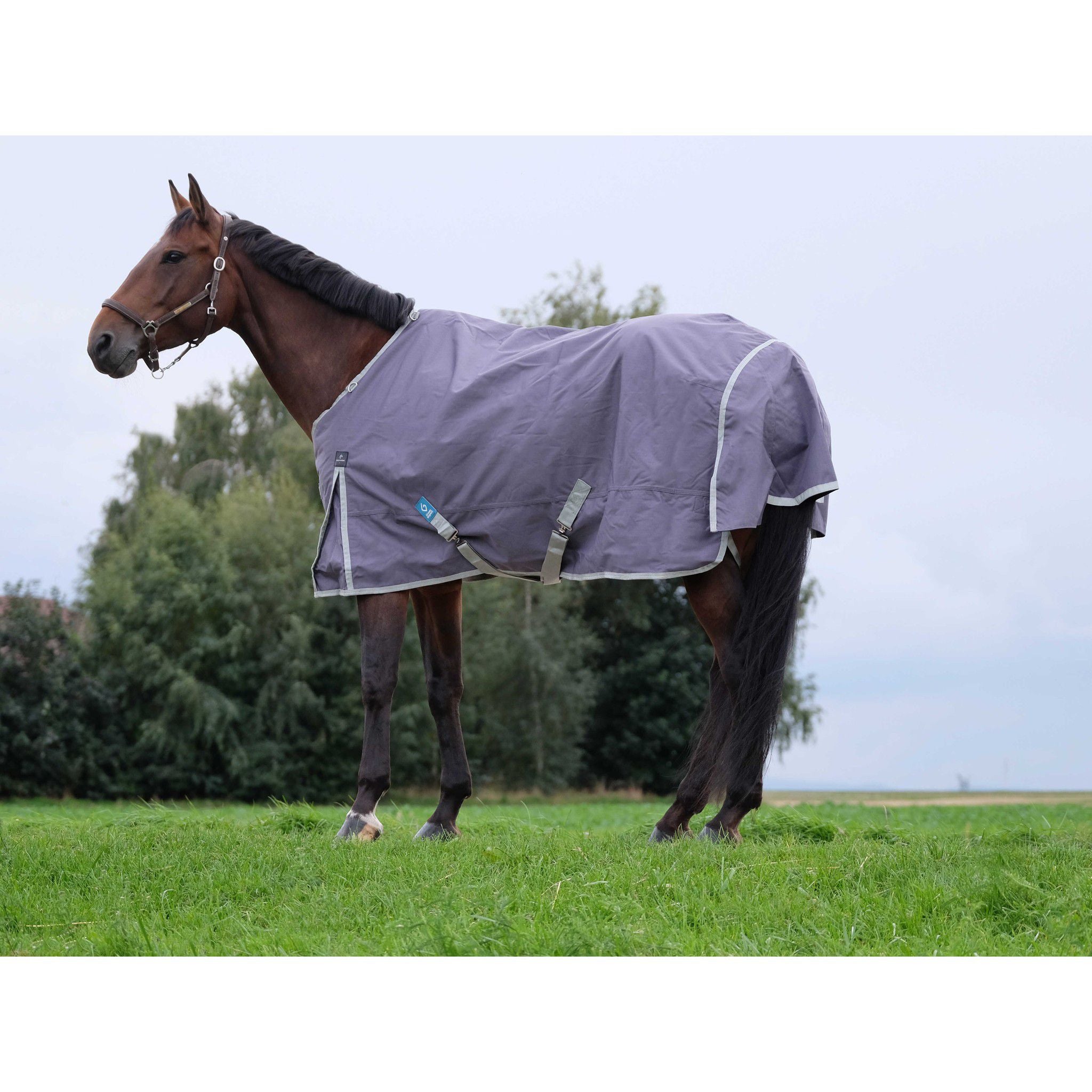 EQUITHÈME Tyrex 1200D Recycled turnout Rug - Standard Taupe 400757063