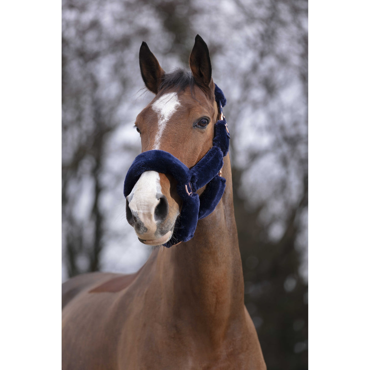 EQUITHÈME Teddy Rose Gold Halter - Navy blue - 510091377_ambi_1