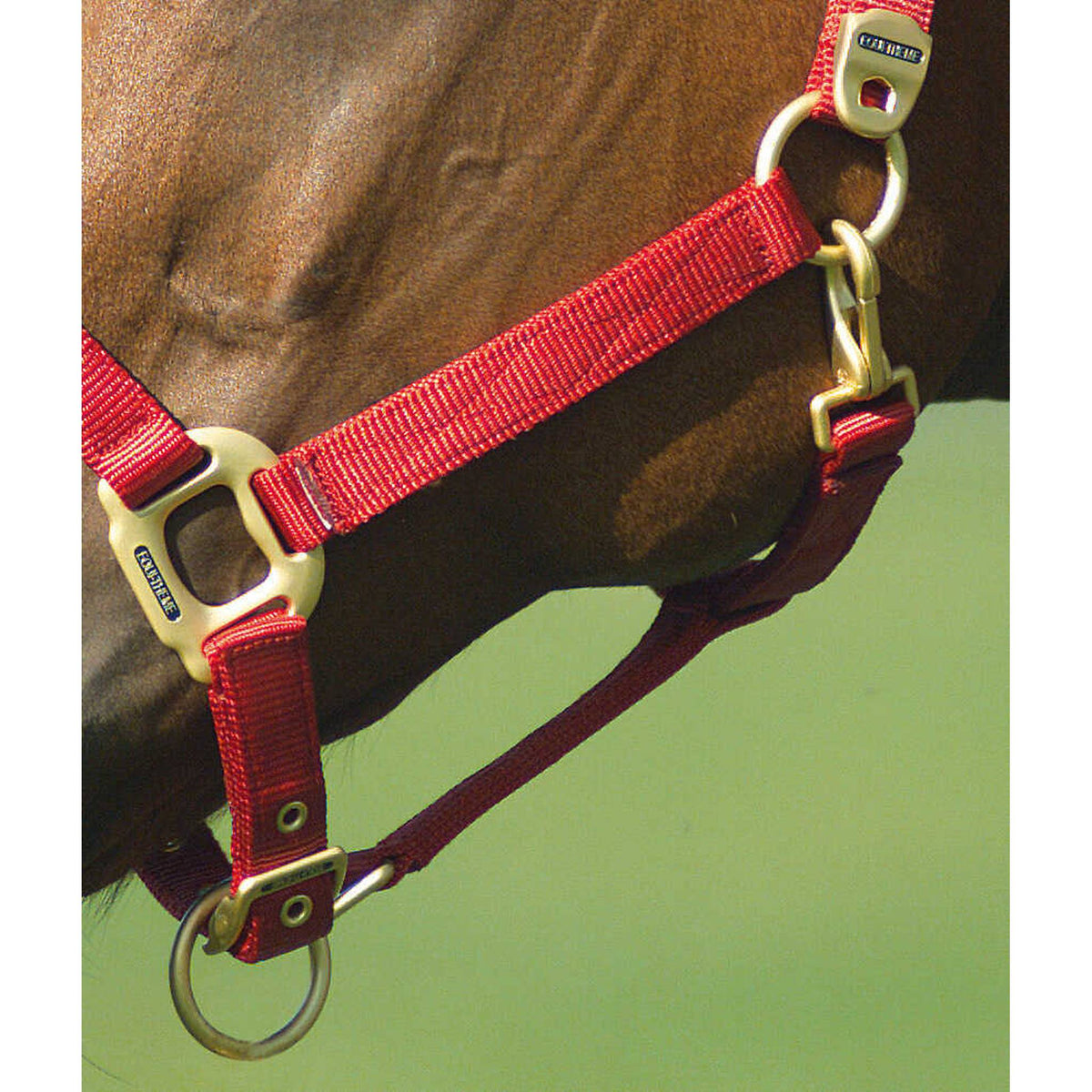 EQUITHÈME Nylon Halter - Red - 510100003_ambi_3