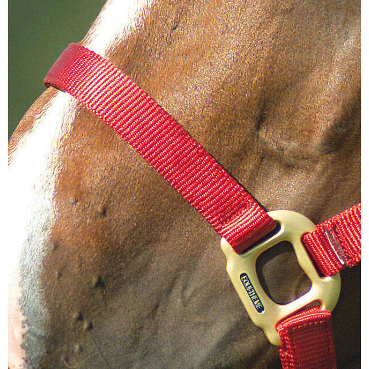 EQUITHÈME Nylon Halter - Red - 510100003_ambi_4
