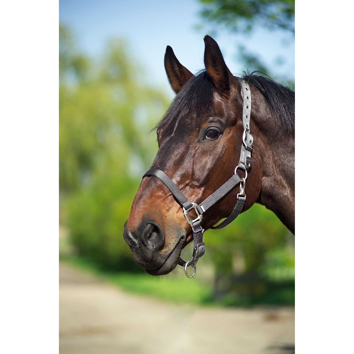 EQUITHÈME Nylon Halter - Dark grey - 510100011_ambi_2