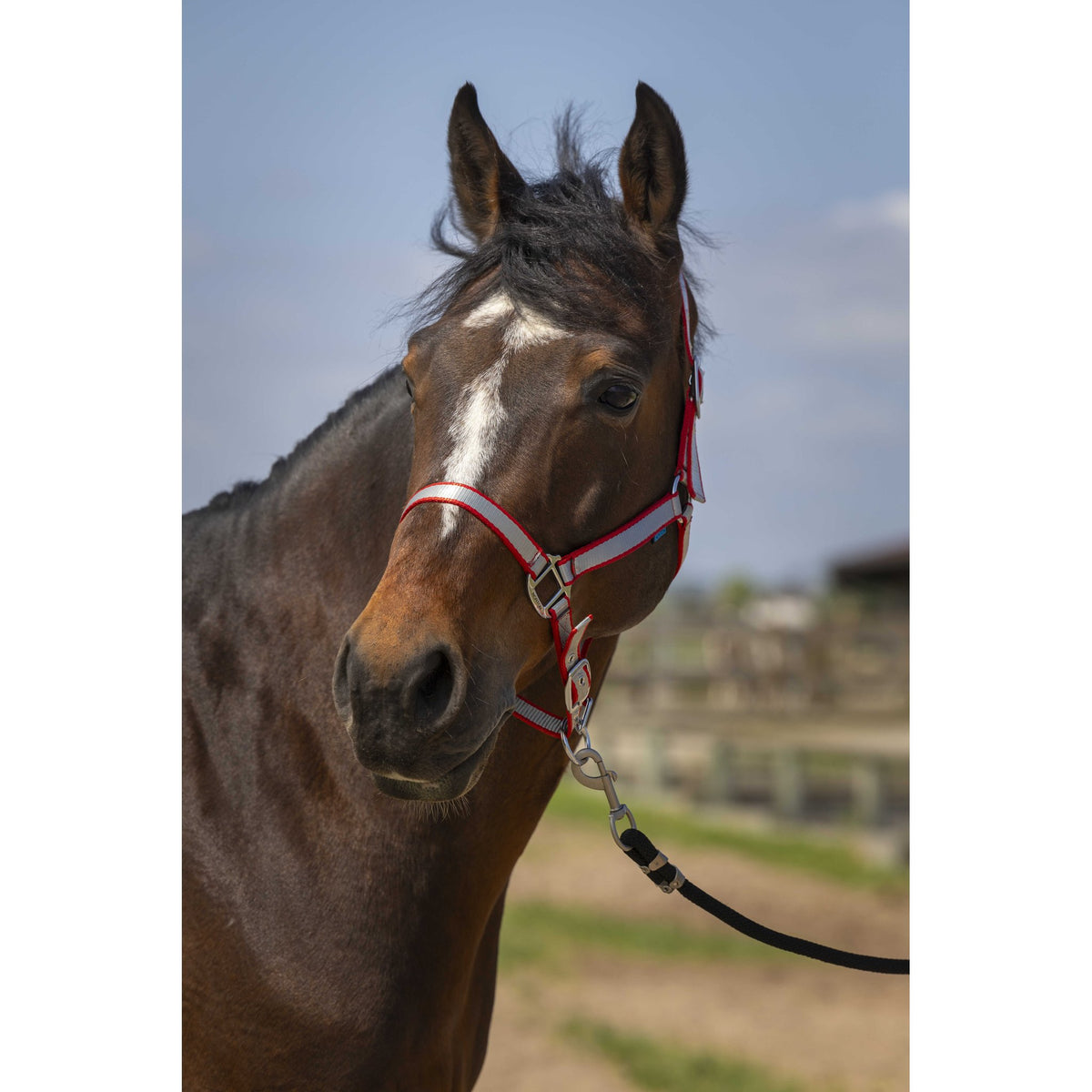 Norton Nylon Soft Halter - Red - 510244303_ambi_1