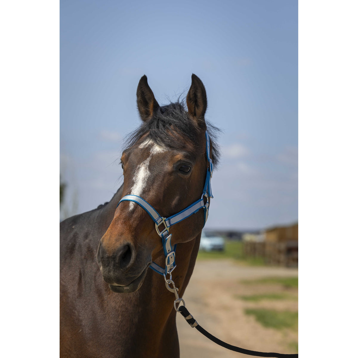 Norton Nylon Soft Halter - Turquoise - 510244317_ambi_1