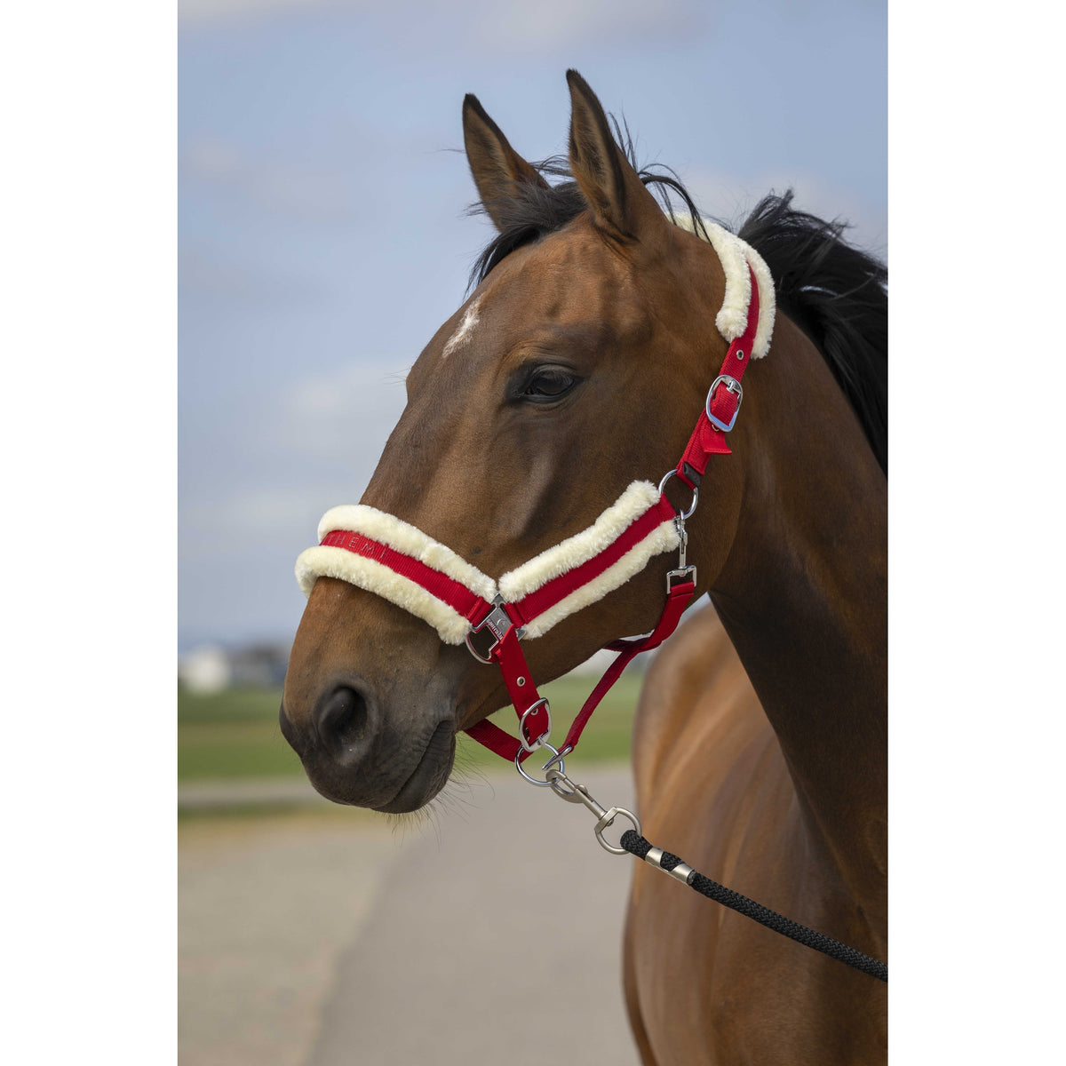 EQUITHÈME Mouton Halter - Red/white - 510253303_ambi_1