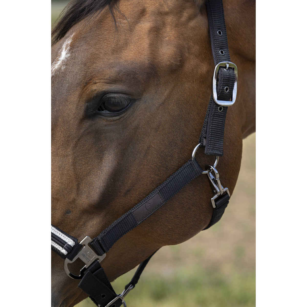 EQUITHÈME Chevron Halter - Black - 510254002_ambi_3