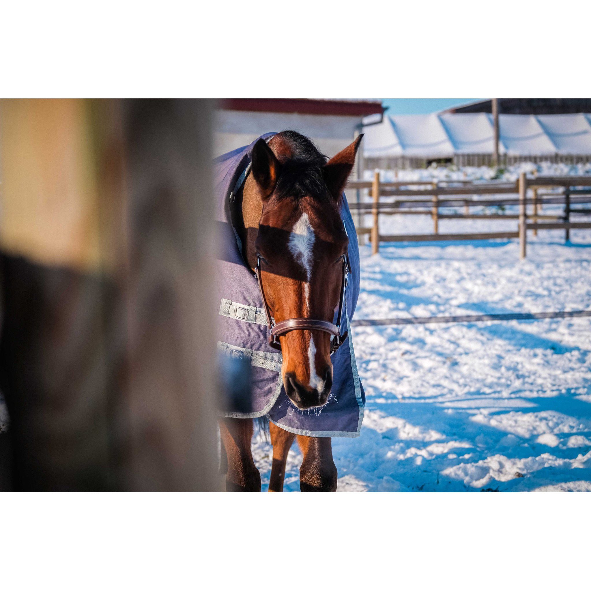 EQUITHÈME Tyrex 1200D Recycled turnout Rug - Standard Taupe 400759063