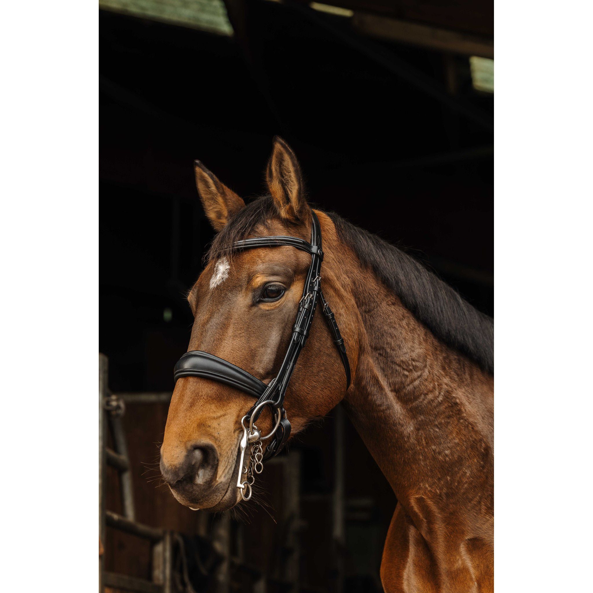 Norton Basal Bridle Black 303036302