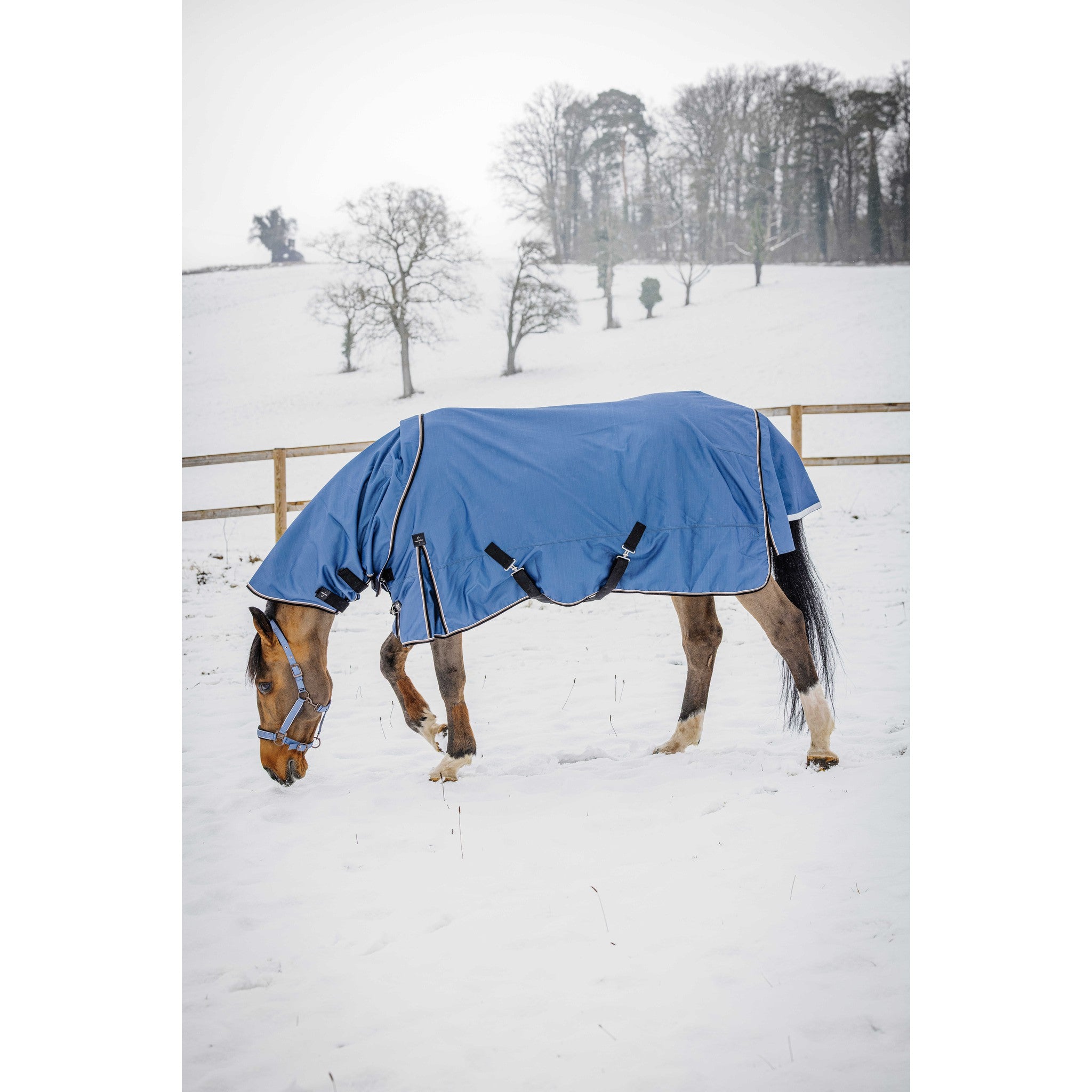 EQUITHEME Tyrex COBALT Neck Cover Blue - 400050061_ambi_3