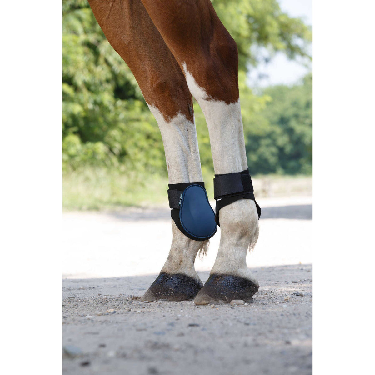 Riding World Fetlock Boots - Navy blue - 530105007_ambi_1
