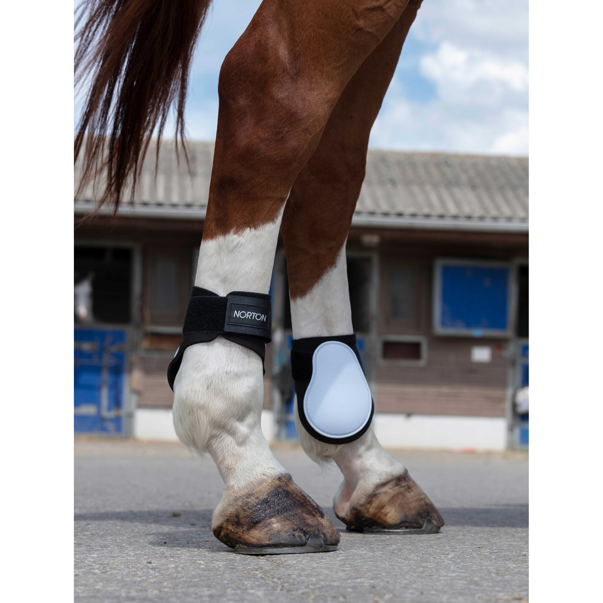 Norton New Fetlock Boots - White - 530705001_ambi_1