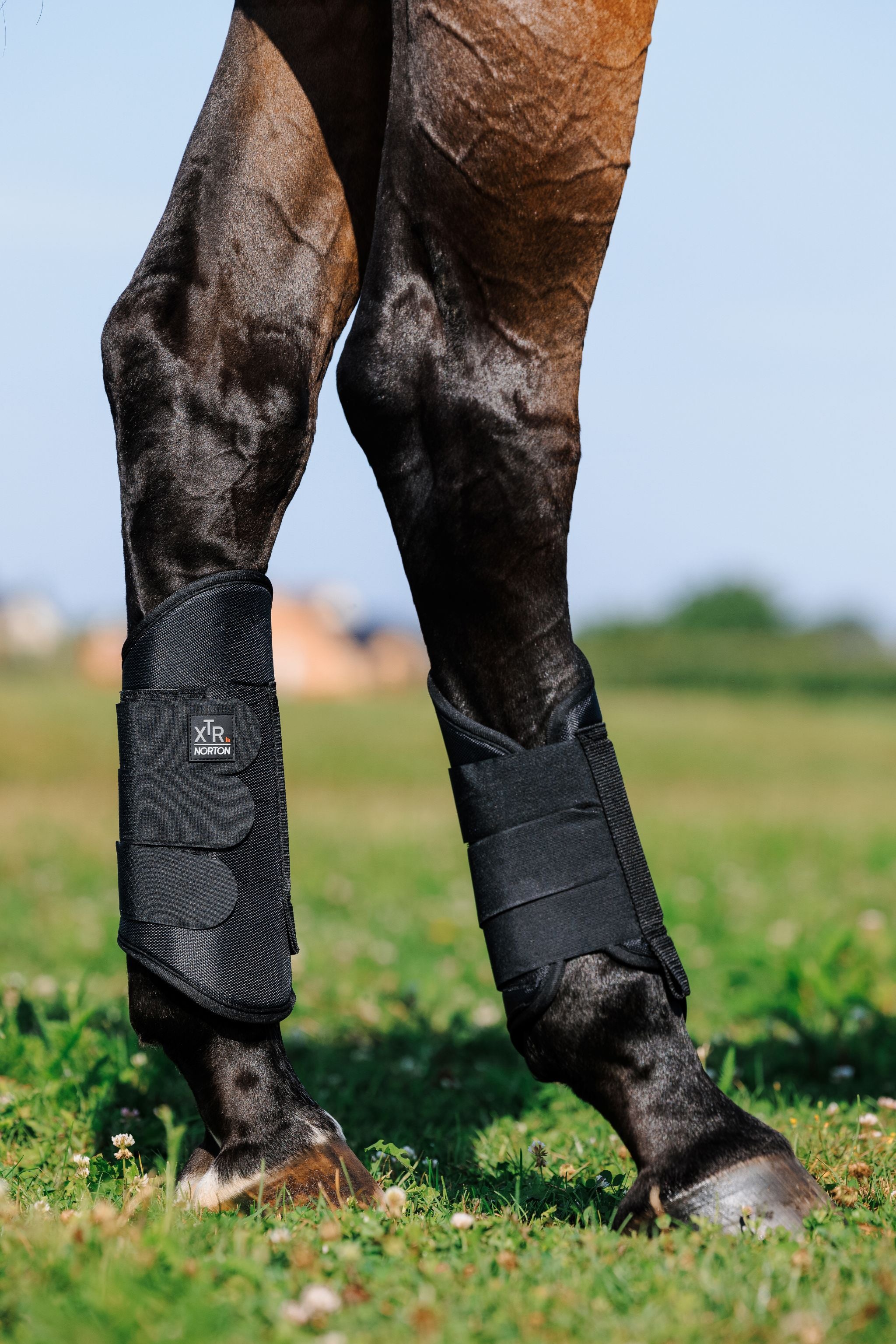 Norton XTR 1680D Cross-Country Hind legs Tendon Boots Black