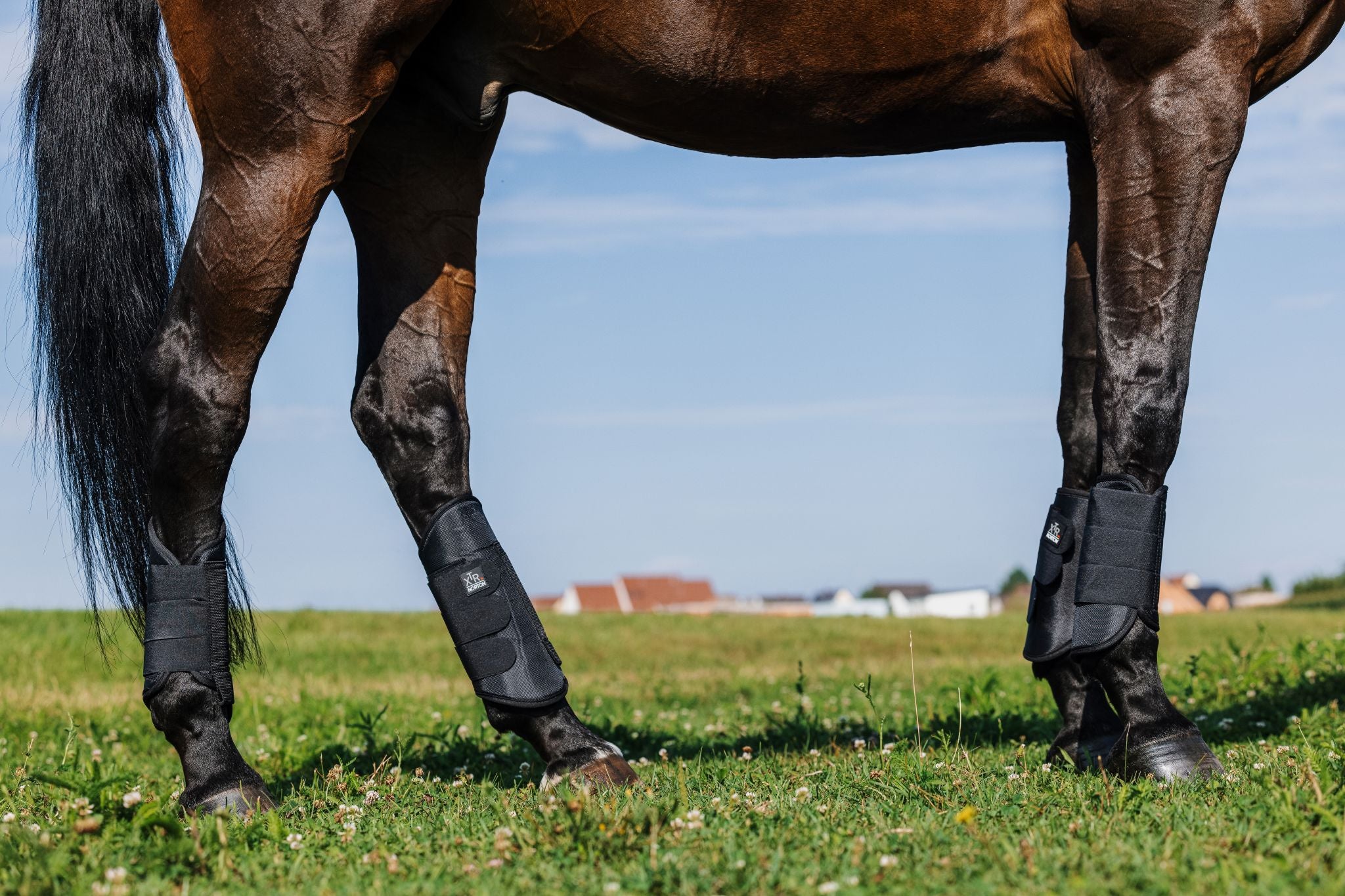 Norton XTR 1680D Cross-Country Hind legs Tendon Boots Black