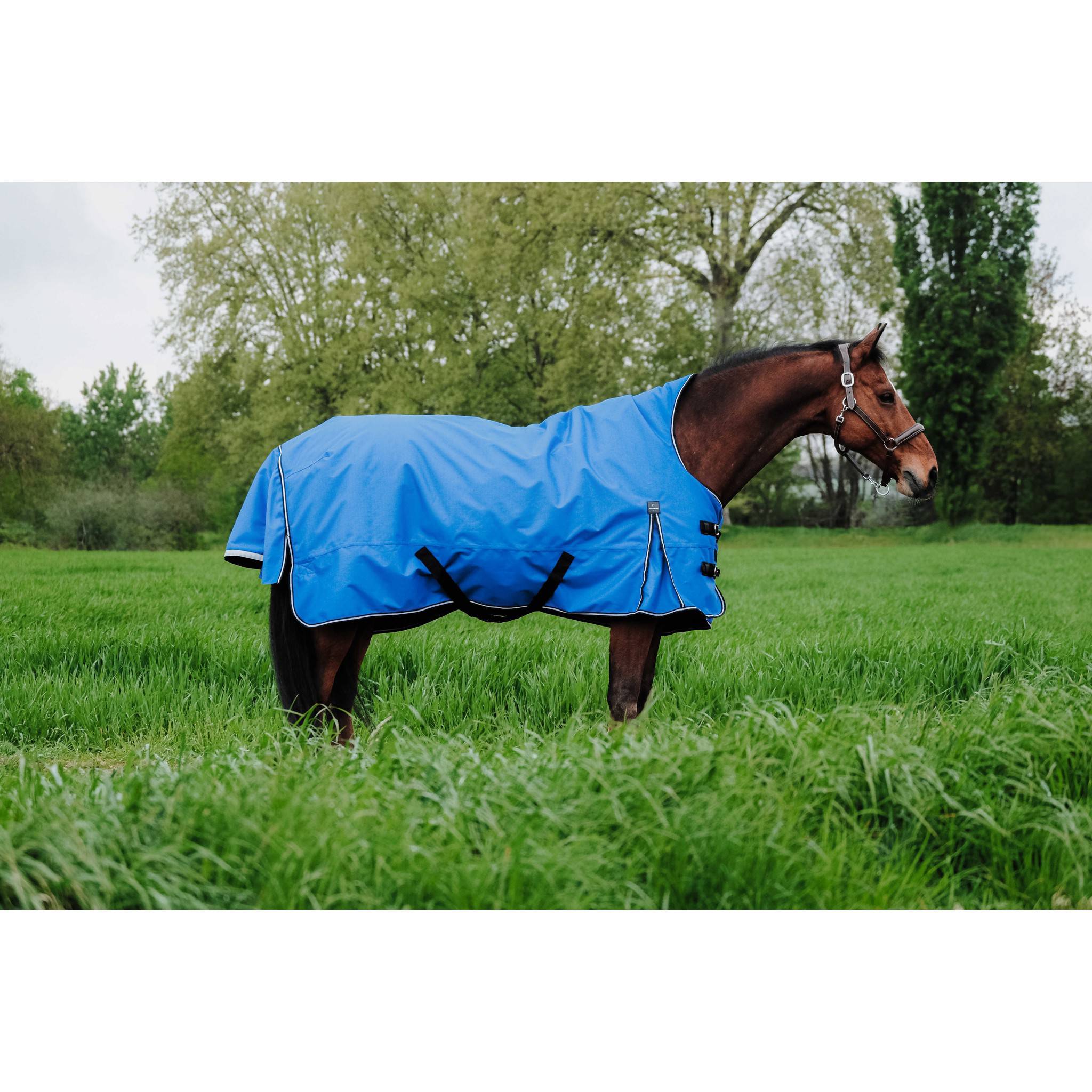 EQUITHÈME Tyrex 1200D Aisance rug - High Neck Royal blue 400966463