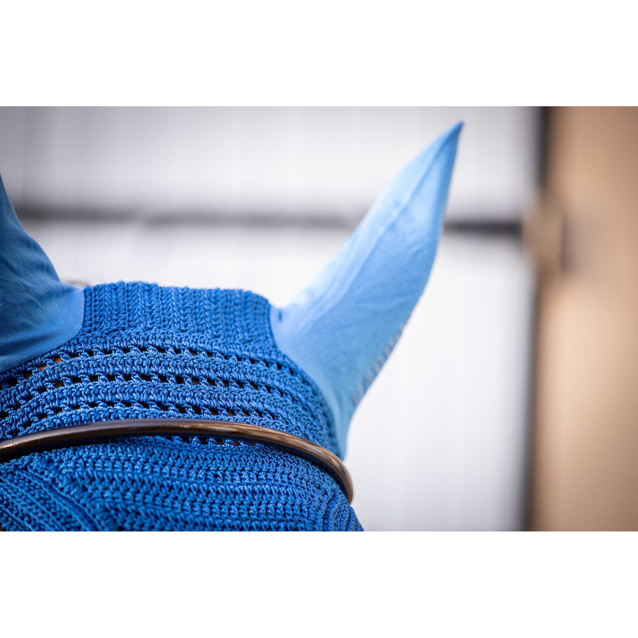 Paddock Sports Prem's Fly Veil Royal blue - 306969206_ambi_3