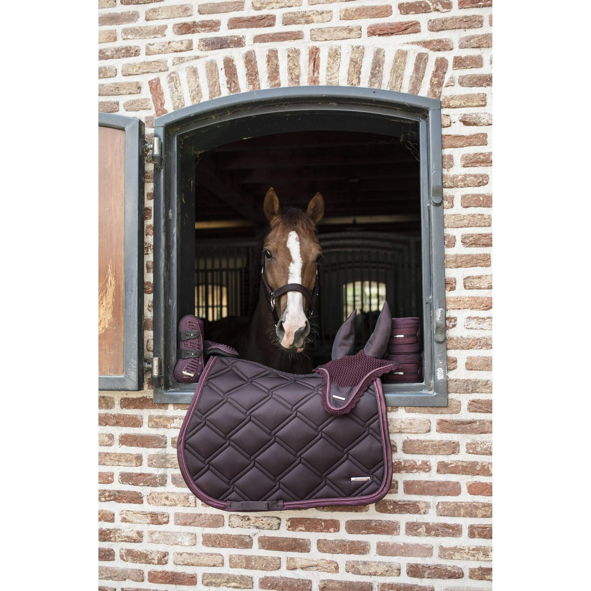 Lami-Cell Aurora Polo Wraps - Burgundy - 541019033_ambi_30