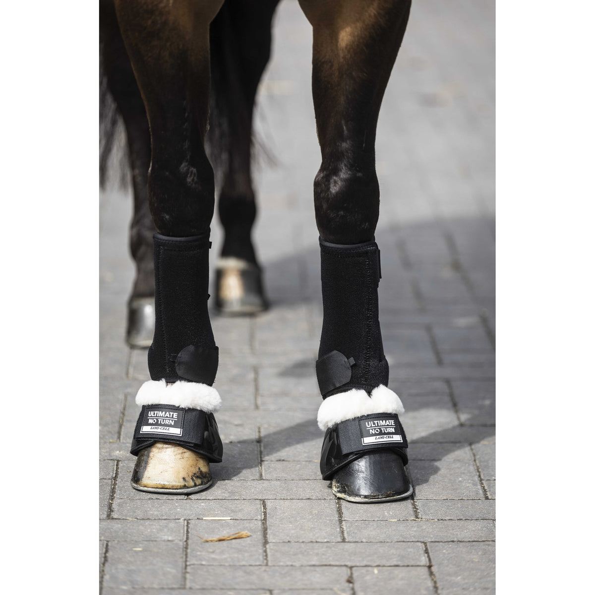 Lami-Cell No Turn Sheepskin Fetlock Boots - Black - 545512203_ambi_5