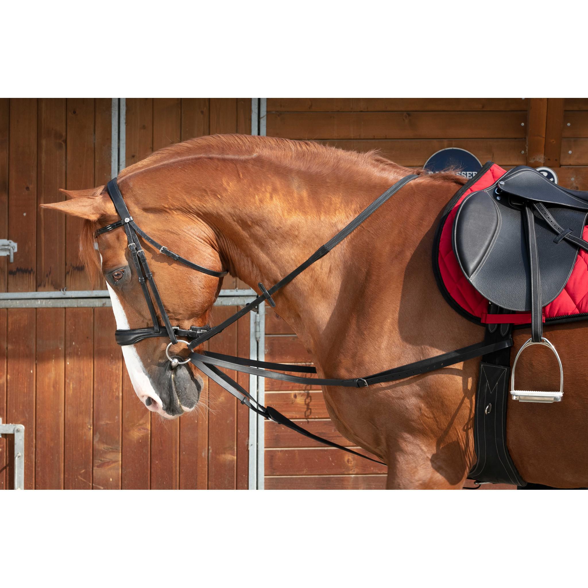 Norton Club Viennese reins Black 306425002