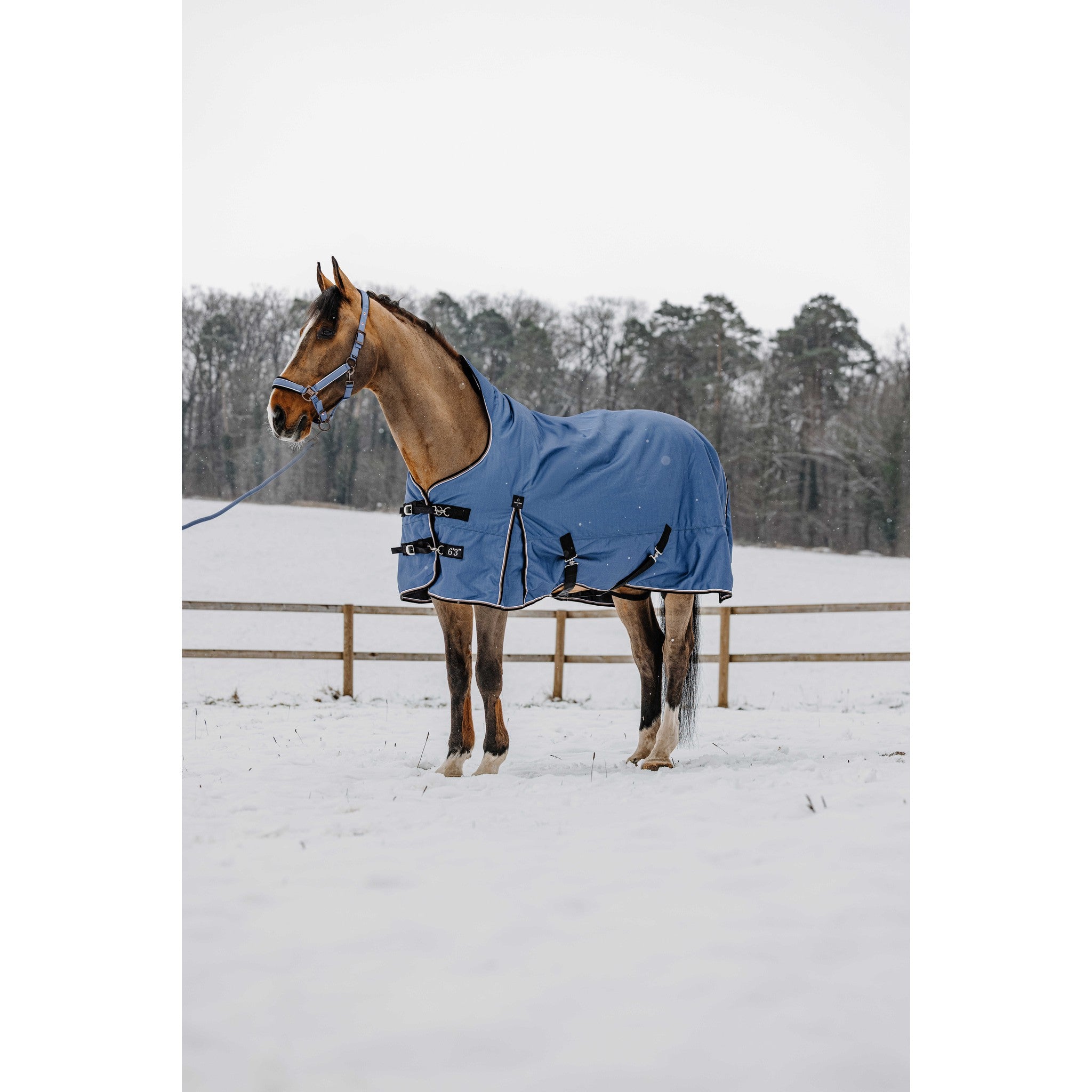 EQUITHÈME COBALT High Neck TYREX 1200D Turnout Sheet Cobalt Blue - 400599469_ambi_1