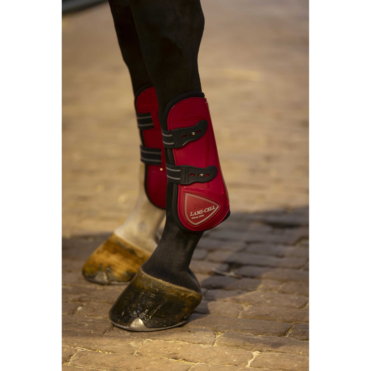 Lami-Cell Elite Boots and Fetlock Protectors - Red - 550141303_ambi_1