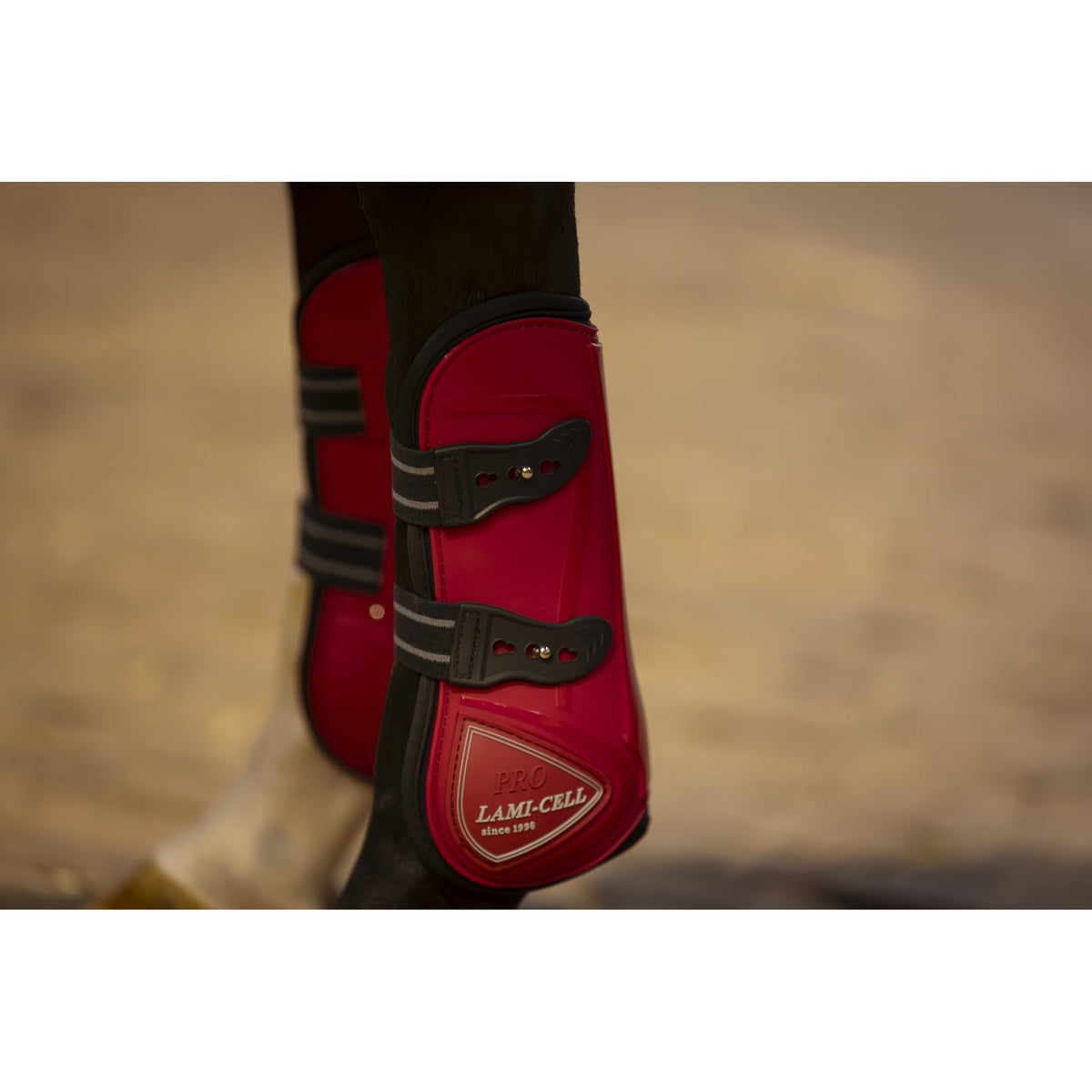 Lami-Cell Elite Boots and Fetlock Protectors - Red - 550141303_ambi_3