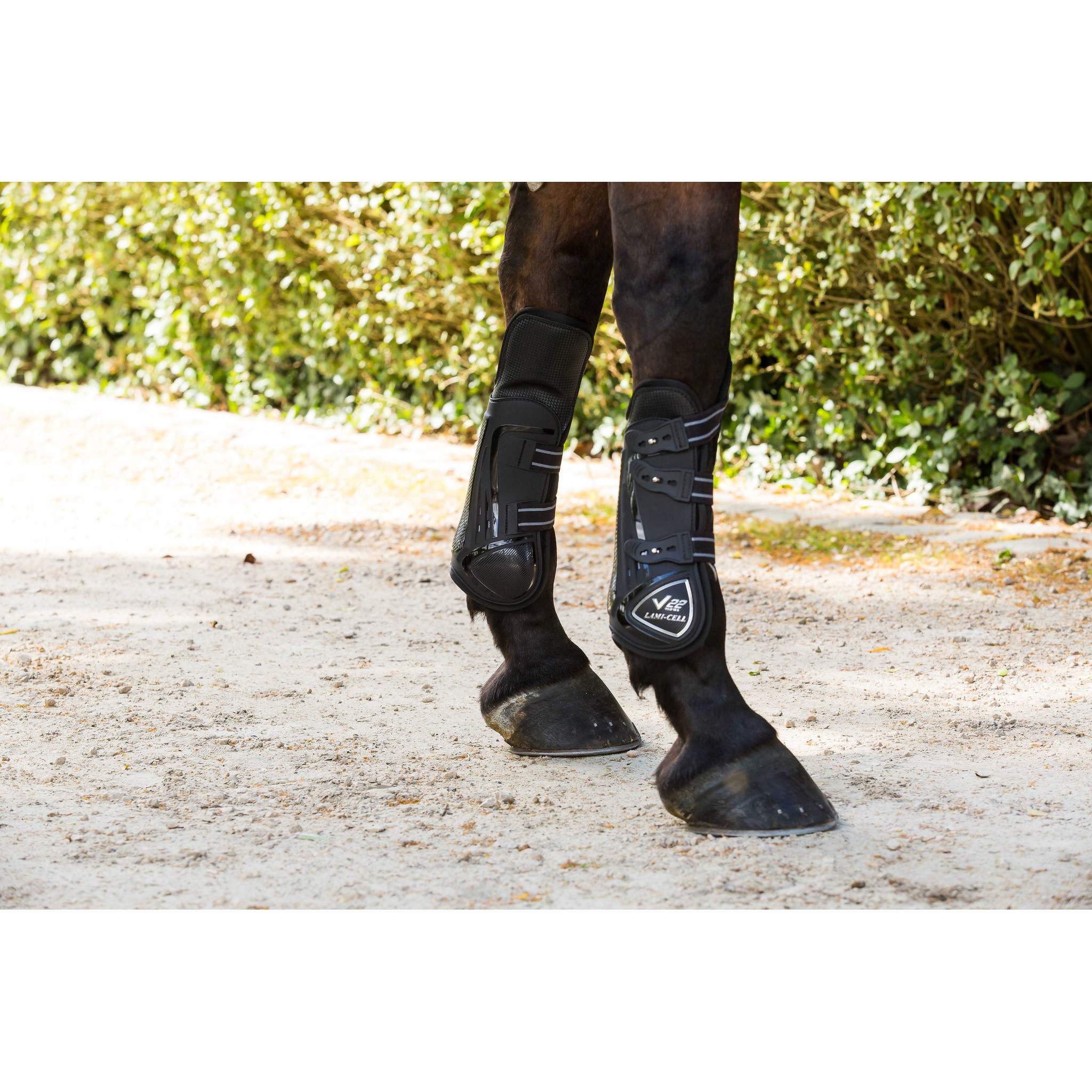 Lami-Cell V22 Carbon Tendon and knee boots Black 550131202