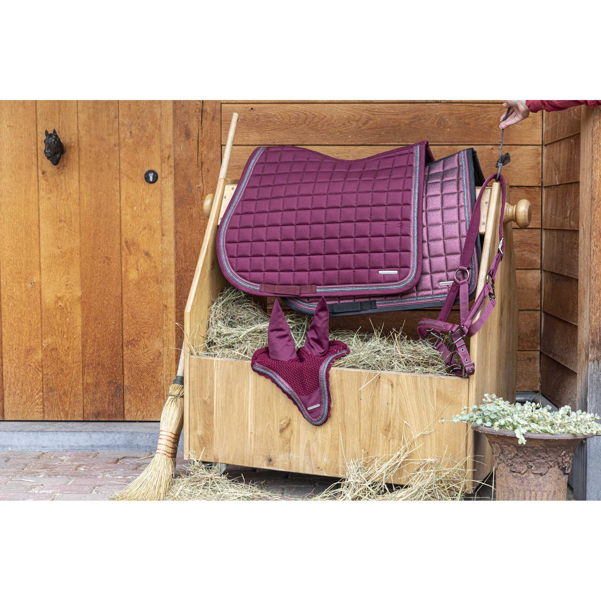 Lami-Cell Sparkling Halter - Burgundy - 555014233_ambi_4