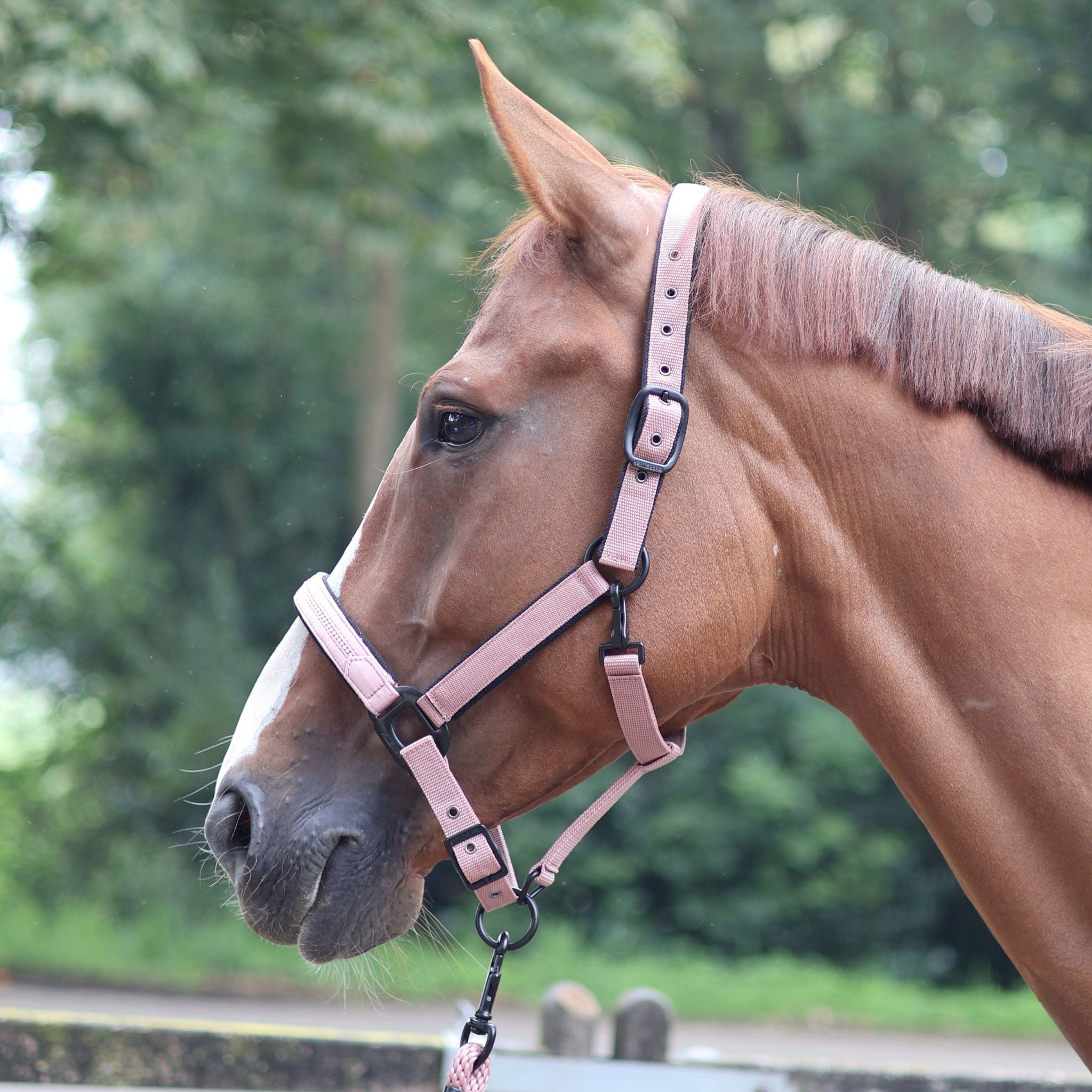 Lami-Cell Charming Lead rope Antique pink