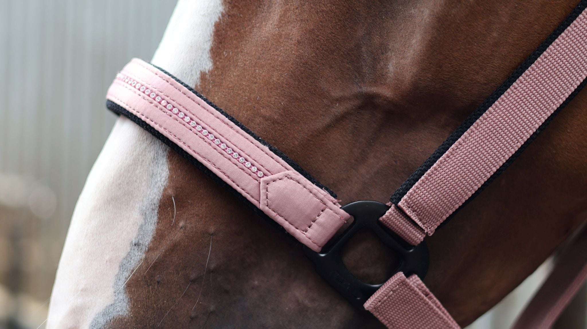 Lami-Cell Charming Lead rope Antique pink