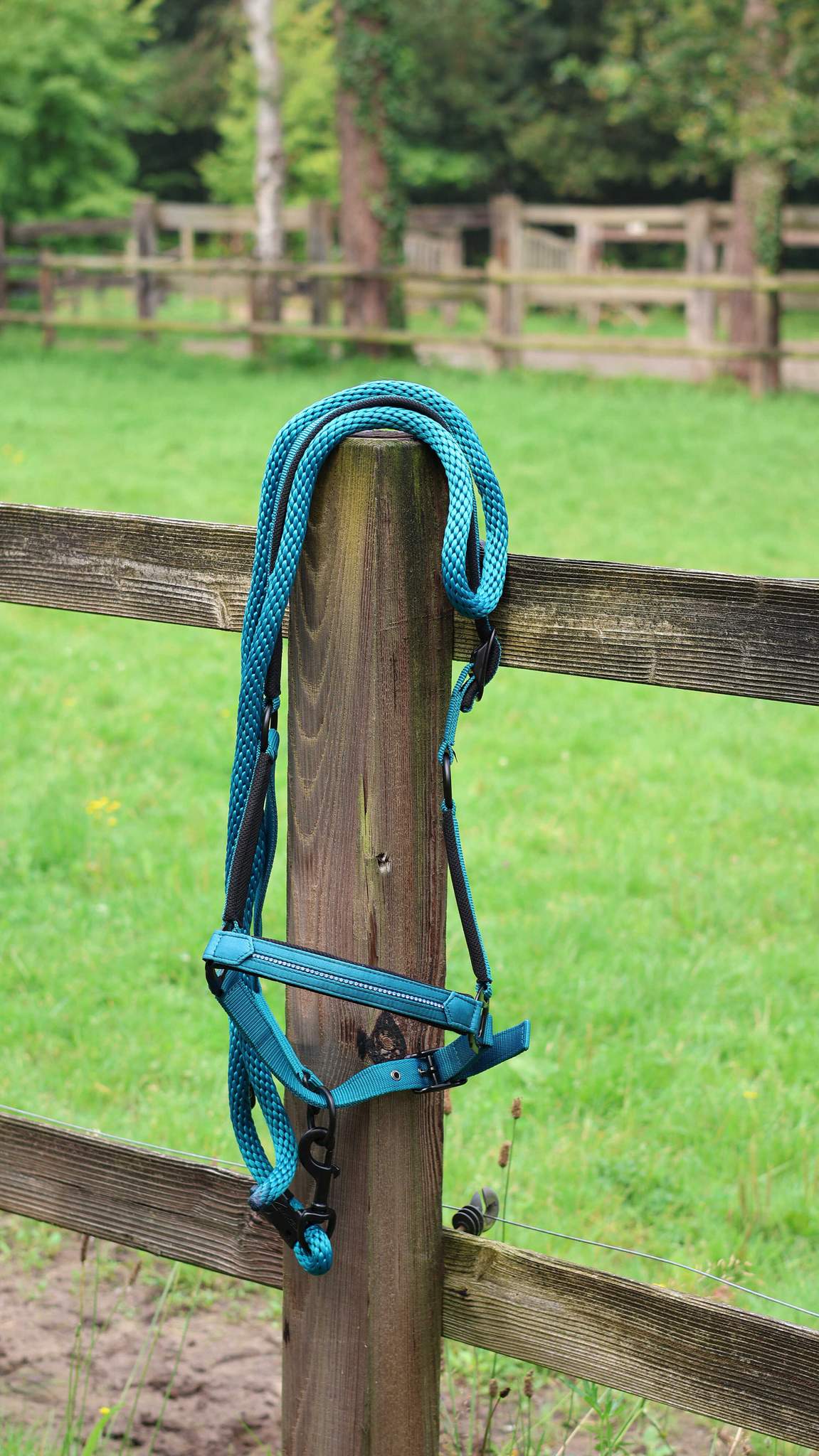 Lami-Cell Charming Hal­ter Turquoise