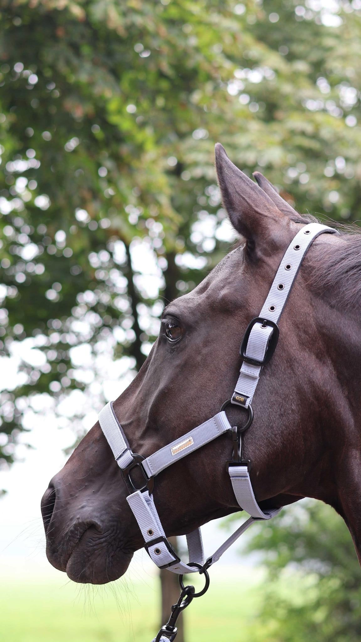 Lami-Cell Midnight Halter Purple