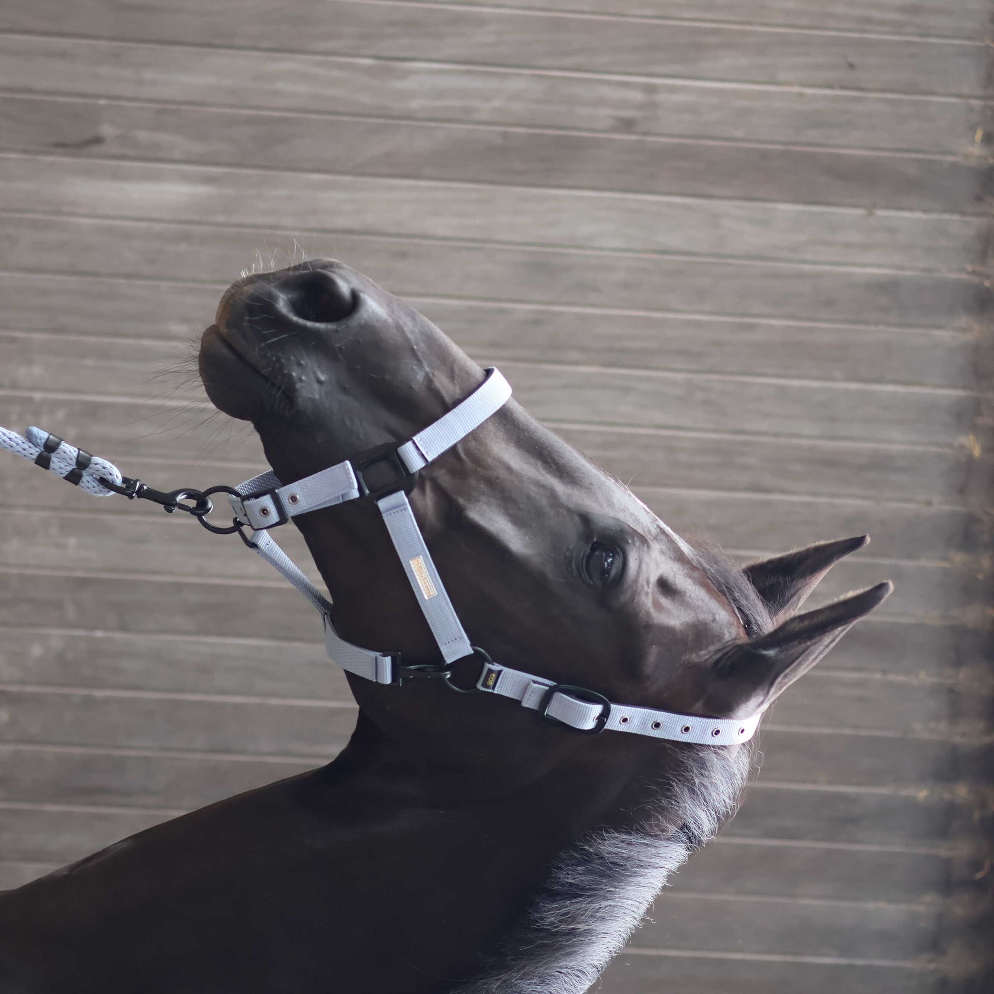 Lami-Cell Midnight Halter Dark grey