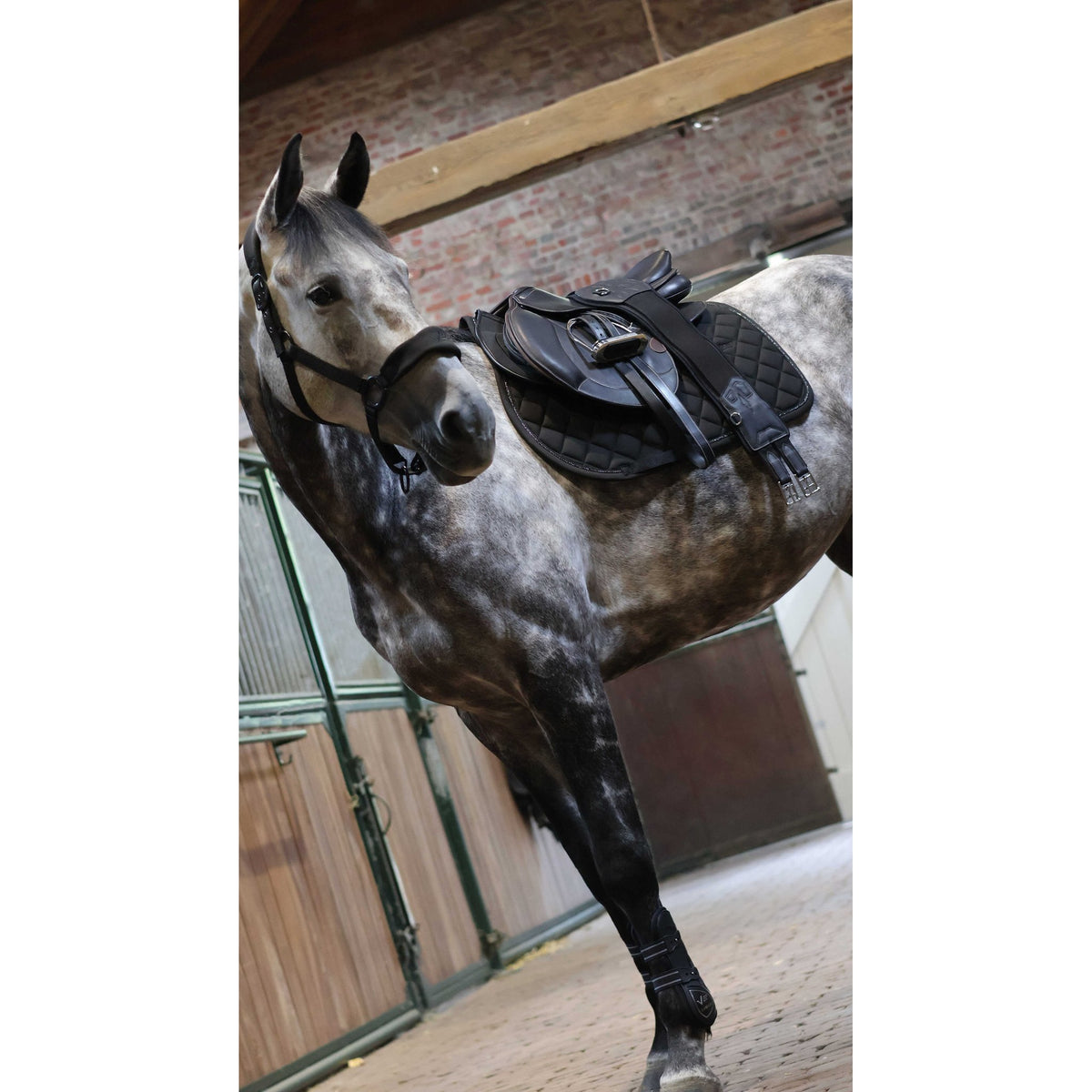 Lami-Cell V22 Halter - Black - 555032302_ambi_4