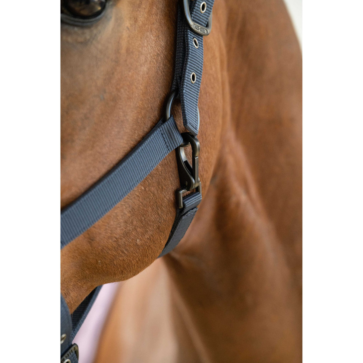 Lami-Cell V22 Halter - Navy blue - 555032307_ambi_6