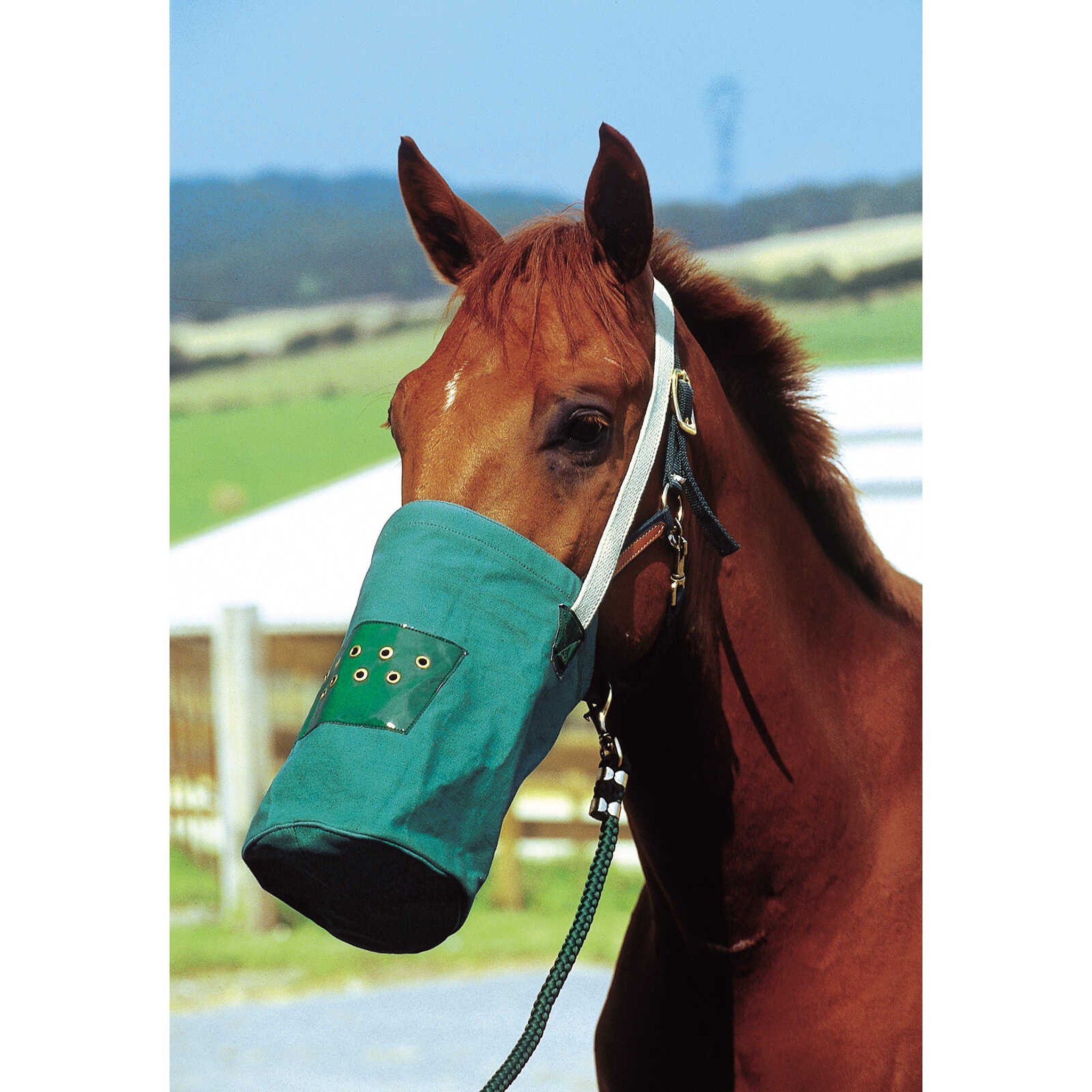 Hippo-Tonic Feed bag canvas Green 306763