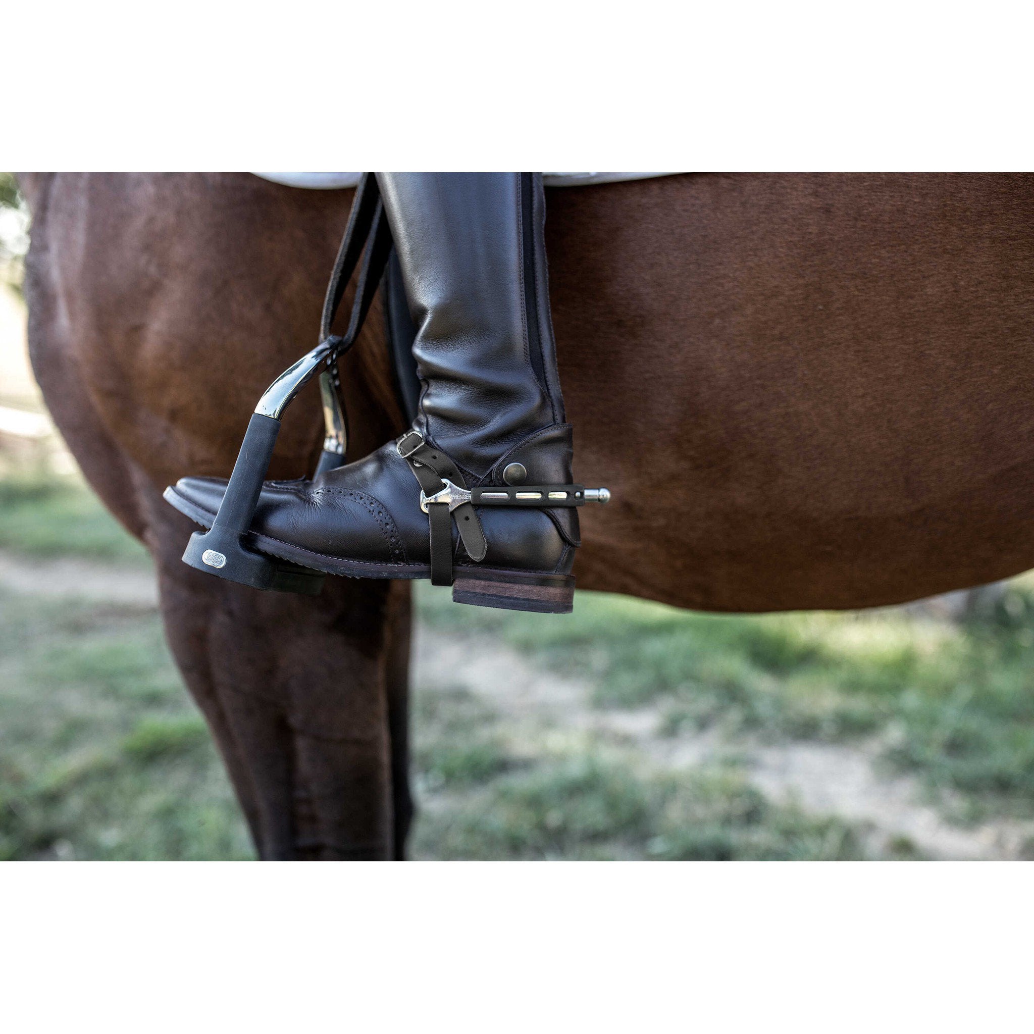 Sprenger Leather Spurs straps Black 949186045