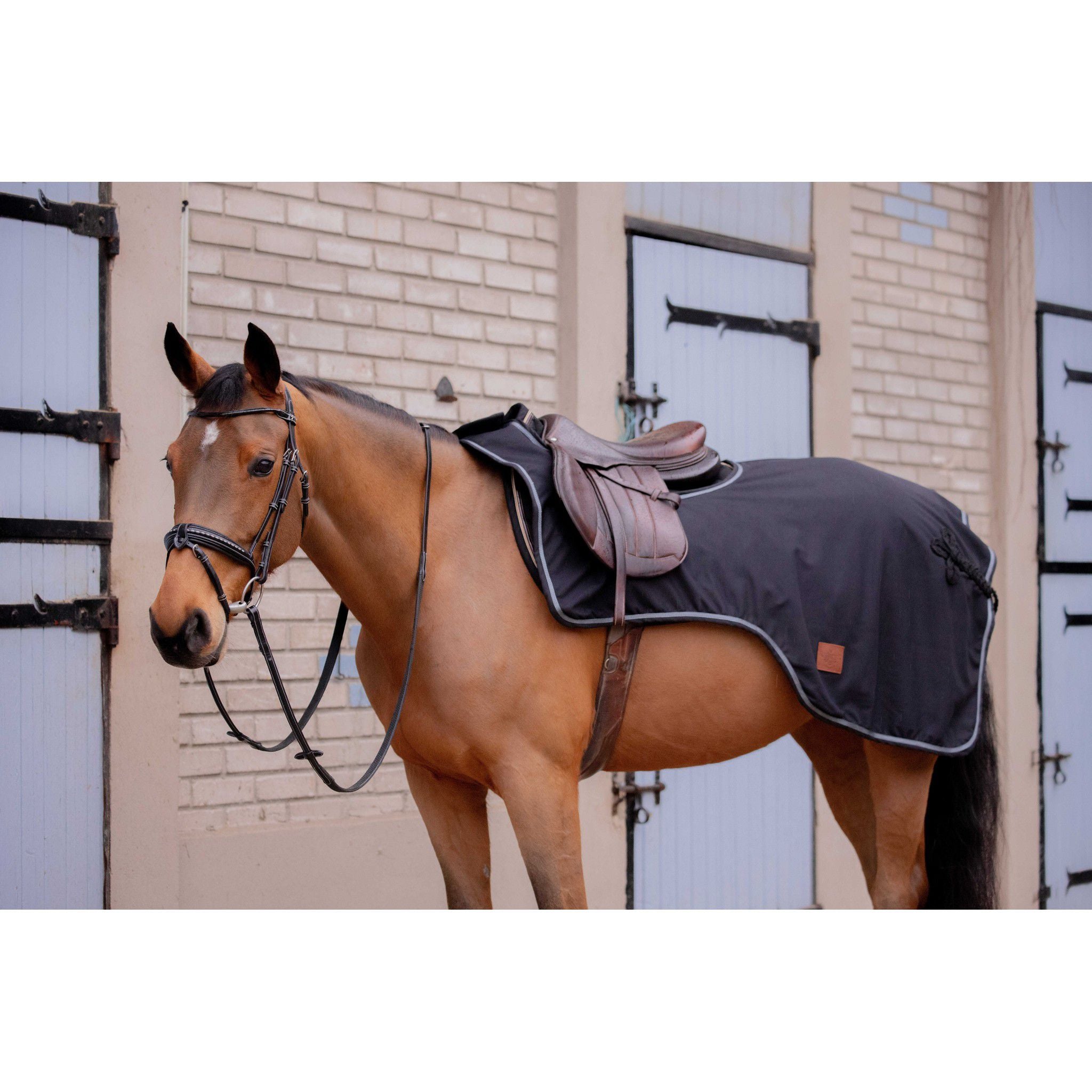 Paddock Sports Classic Rain Exercise Sheet Black 400034263