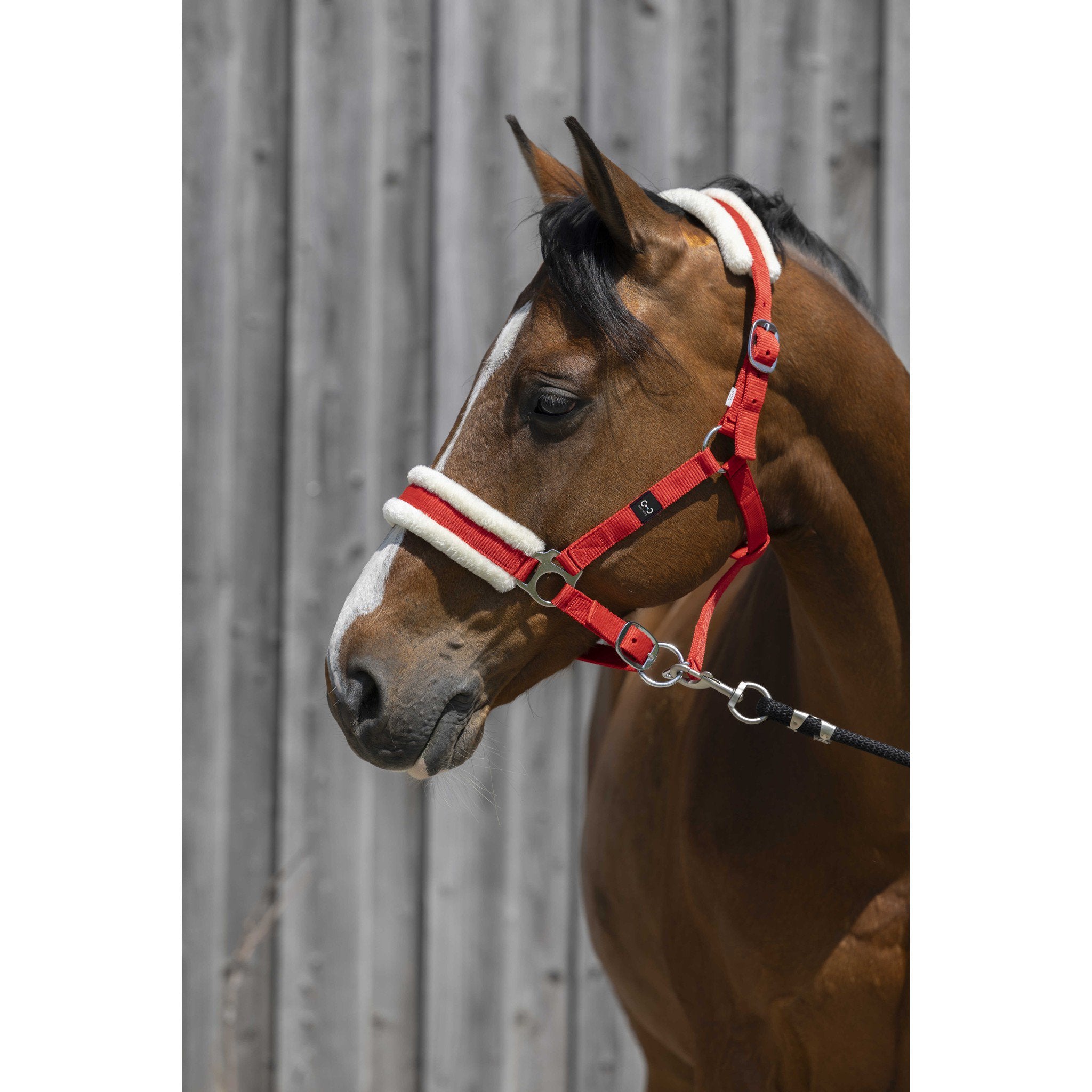 Riding World Synthetic Sheepskin Halter Red 510242303