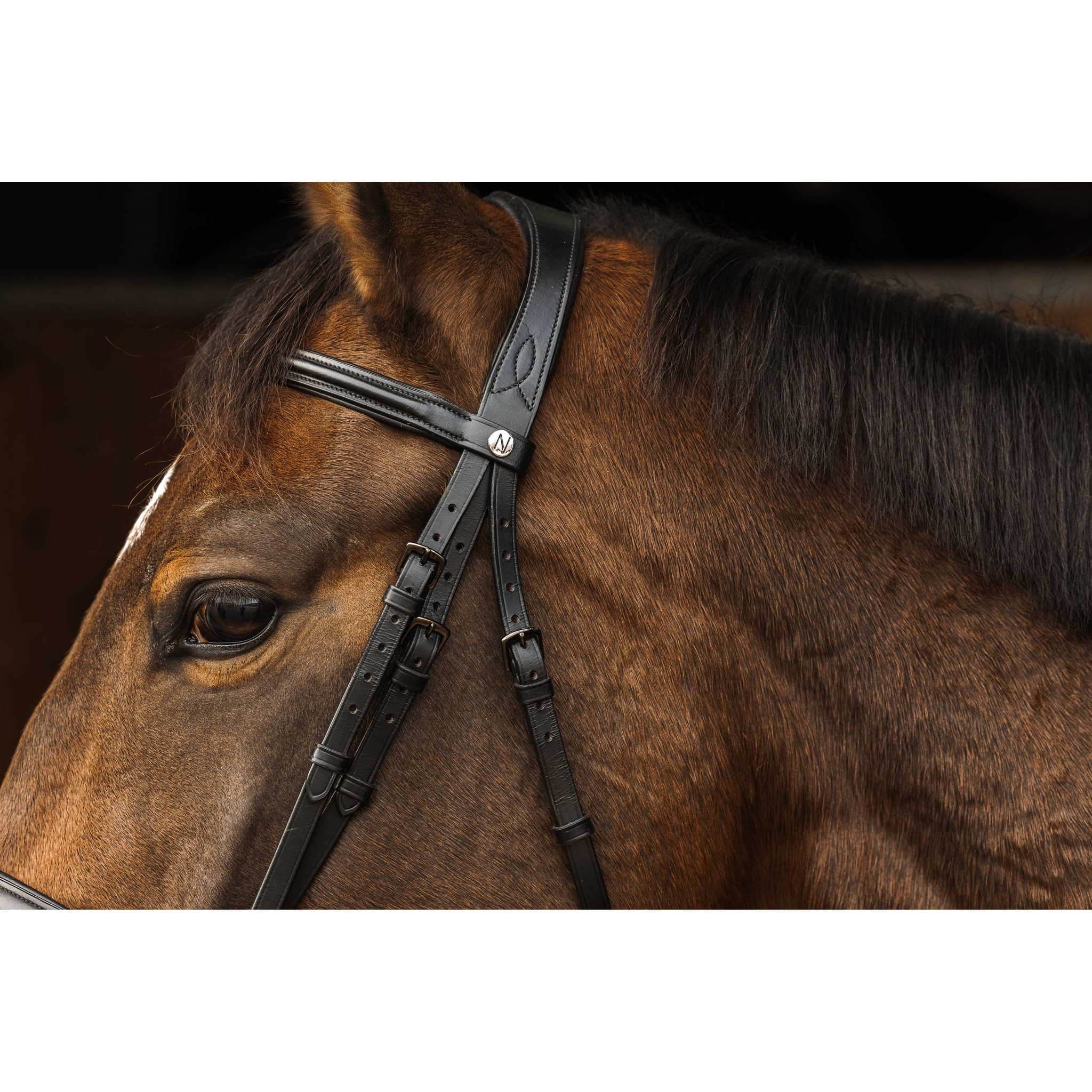 Norton Pro Dark Black Buckle Bridle Black 301897302