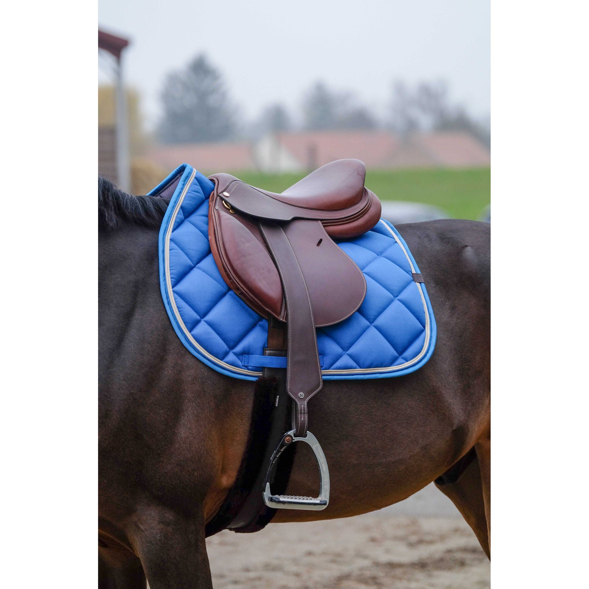 EQUITHÈME Classic Saddle pad - All purpose Royal blue 204773006