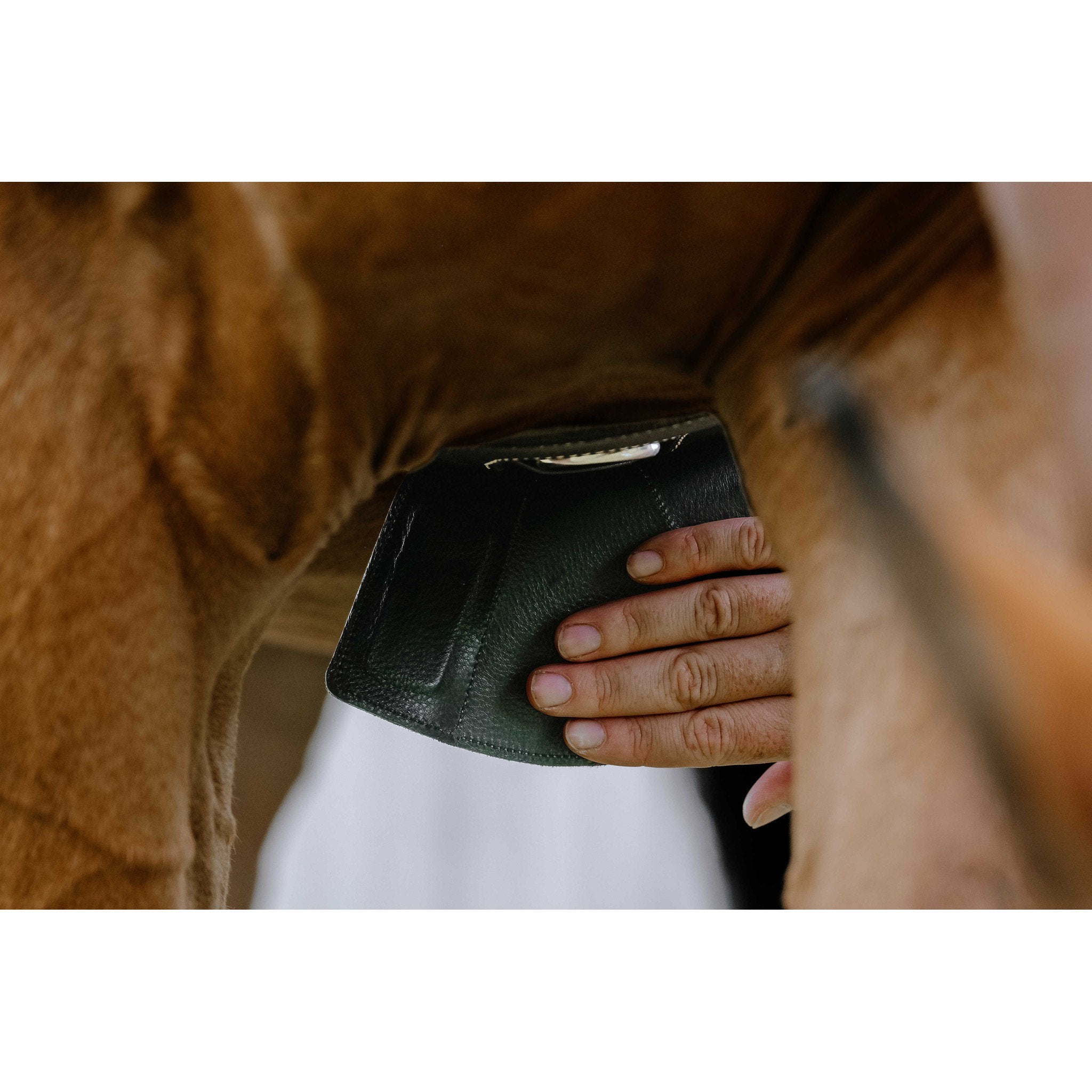 Norton Magnet Belly protector girth Black 203146215