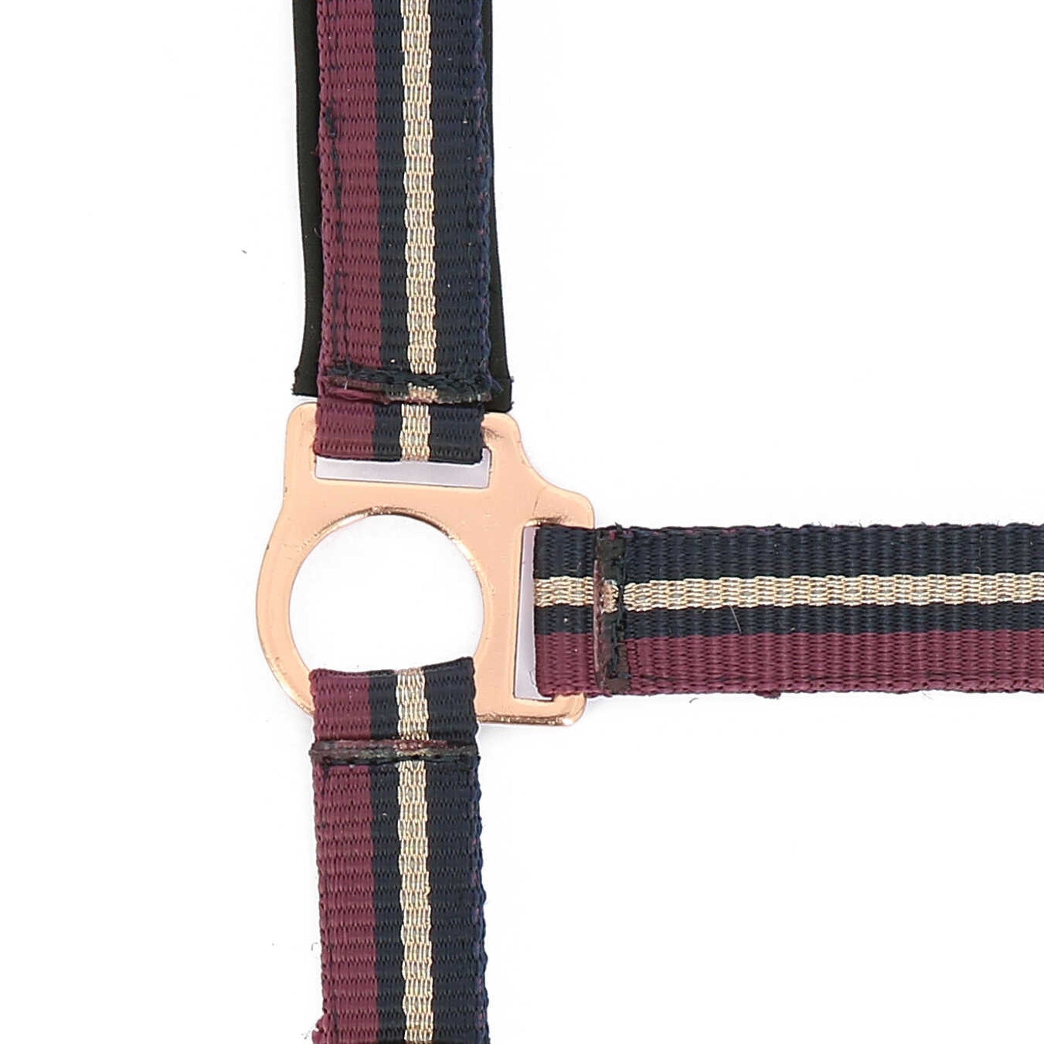Norton Shining Halter + Lead Rope Plum/navy blue 510609034